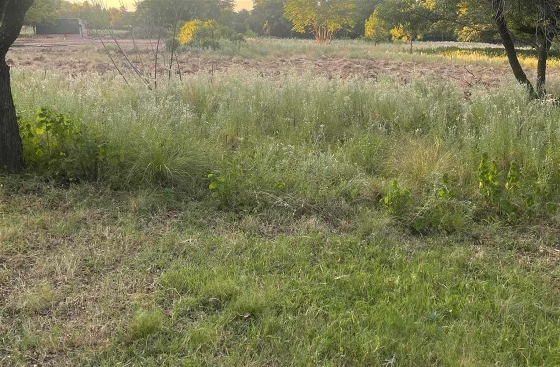 Vacant Land for rent in Glenferness, Midrand, 16000 m²