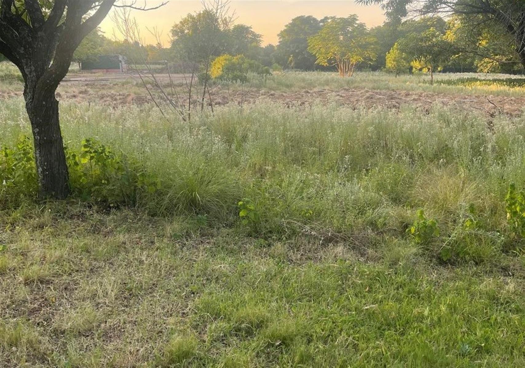 Vacant Land for rent in Glenferness, Midrand, 16000 m²