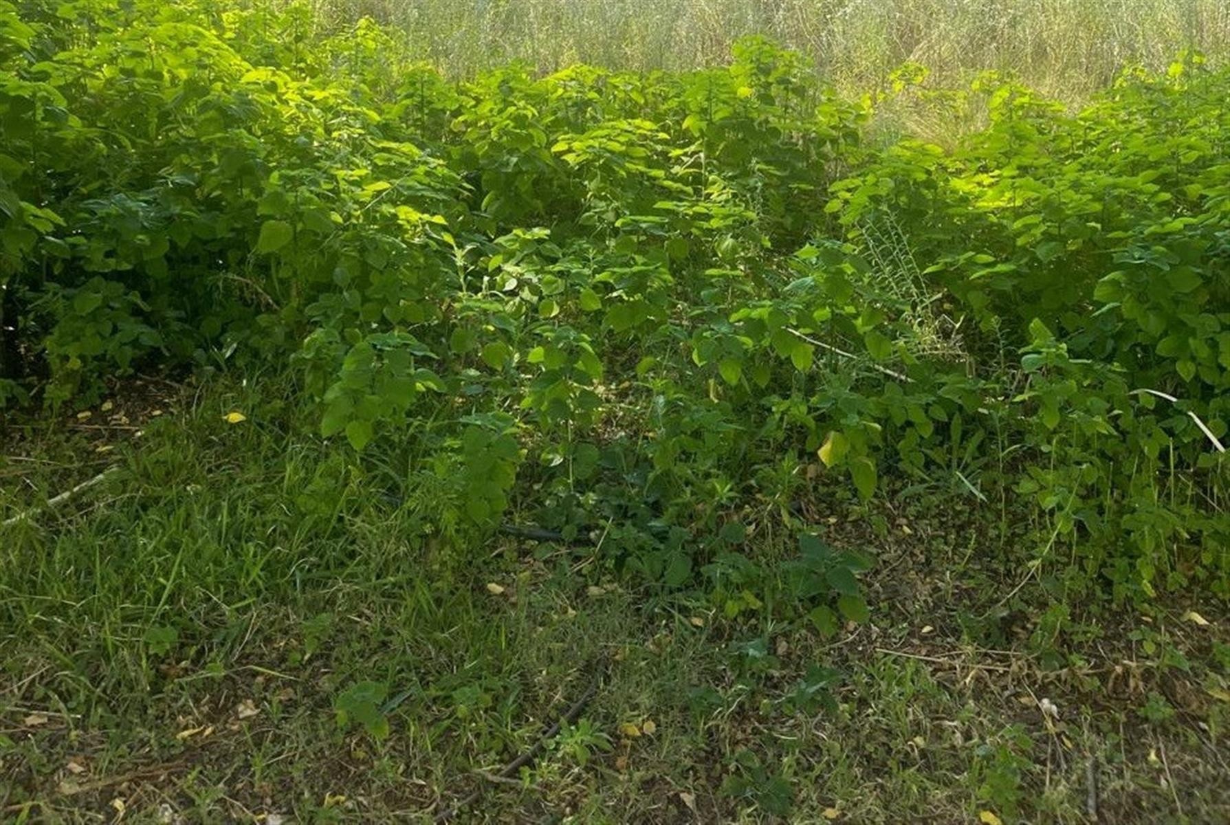 Vacant Land for rent in Glenferness, Midrand, 16000 m²