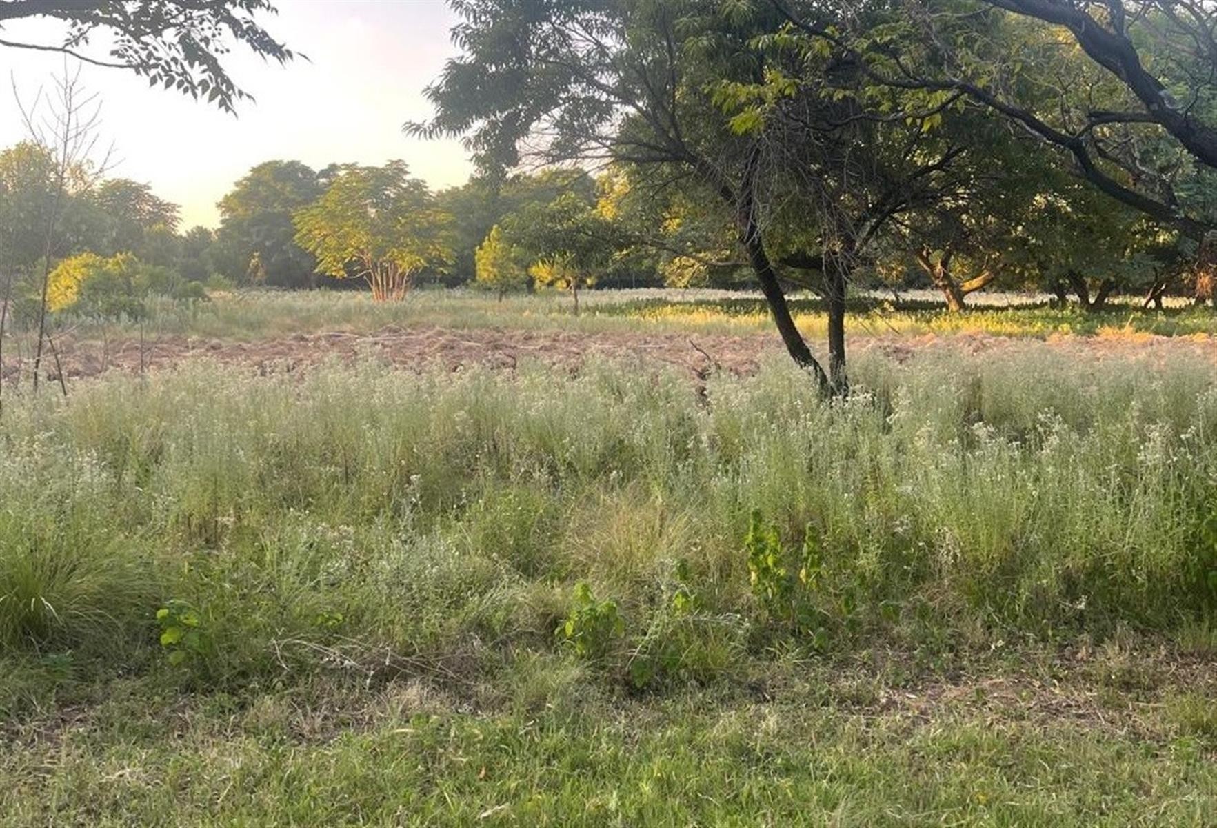 Vacant Land for rent in Glenferness, Midrand, 8000 m²