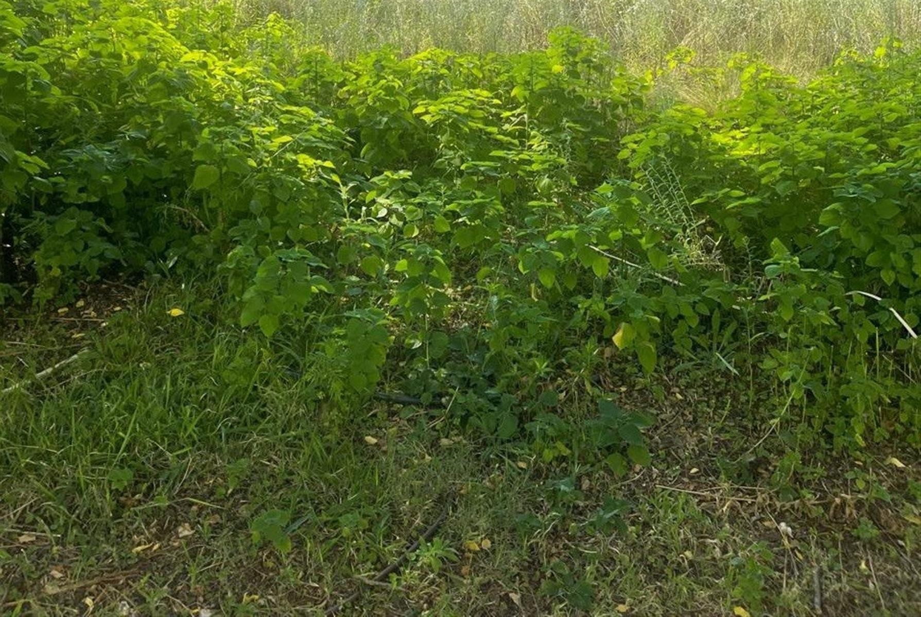 Vacant Land for rent in Glenferness, Midrand, 8000 m²