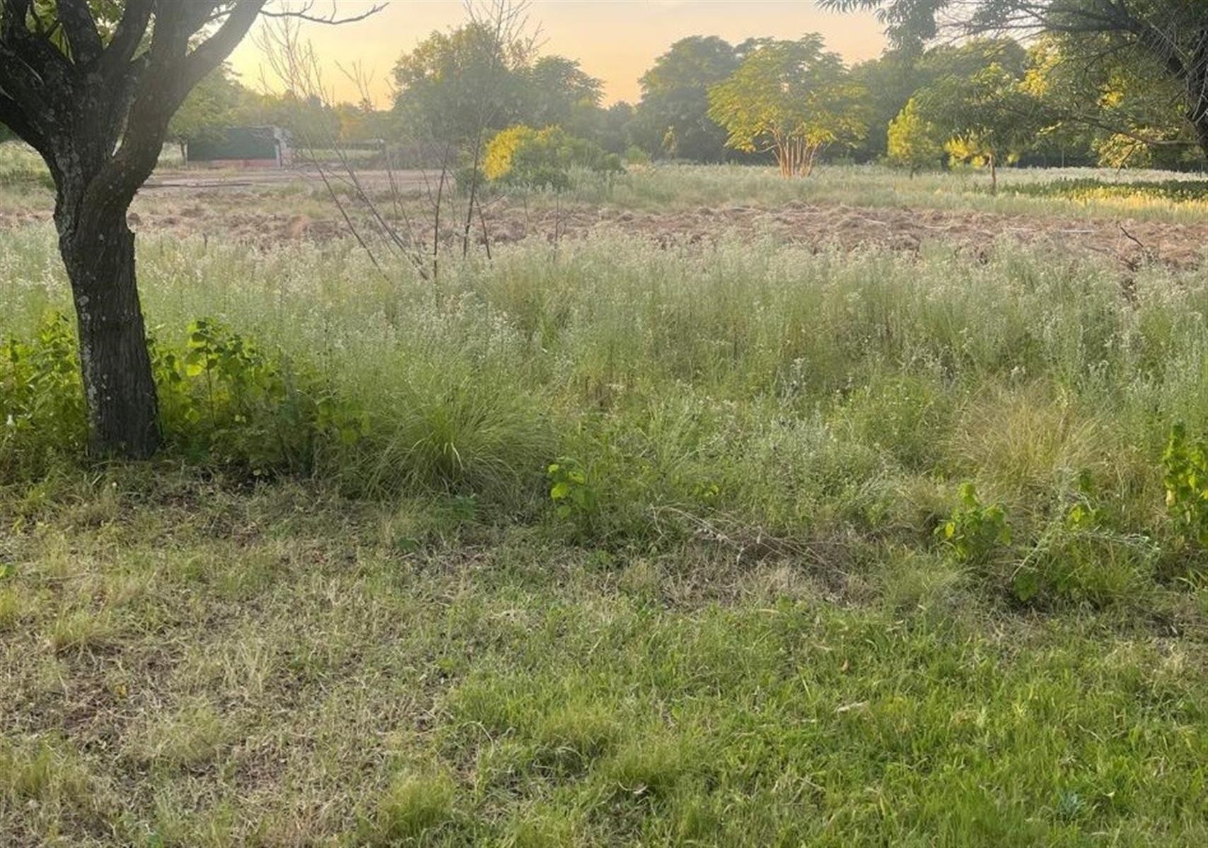 Vacant Land for rent in Glenferness, Midrand, 8000 m²