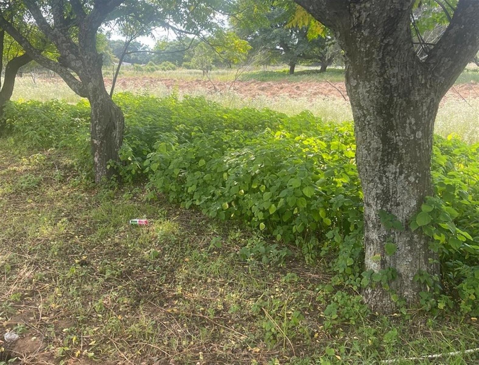 Vacant Land for sale in Glenferness, Midrand, 16000 m²