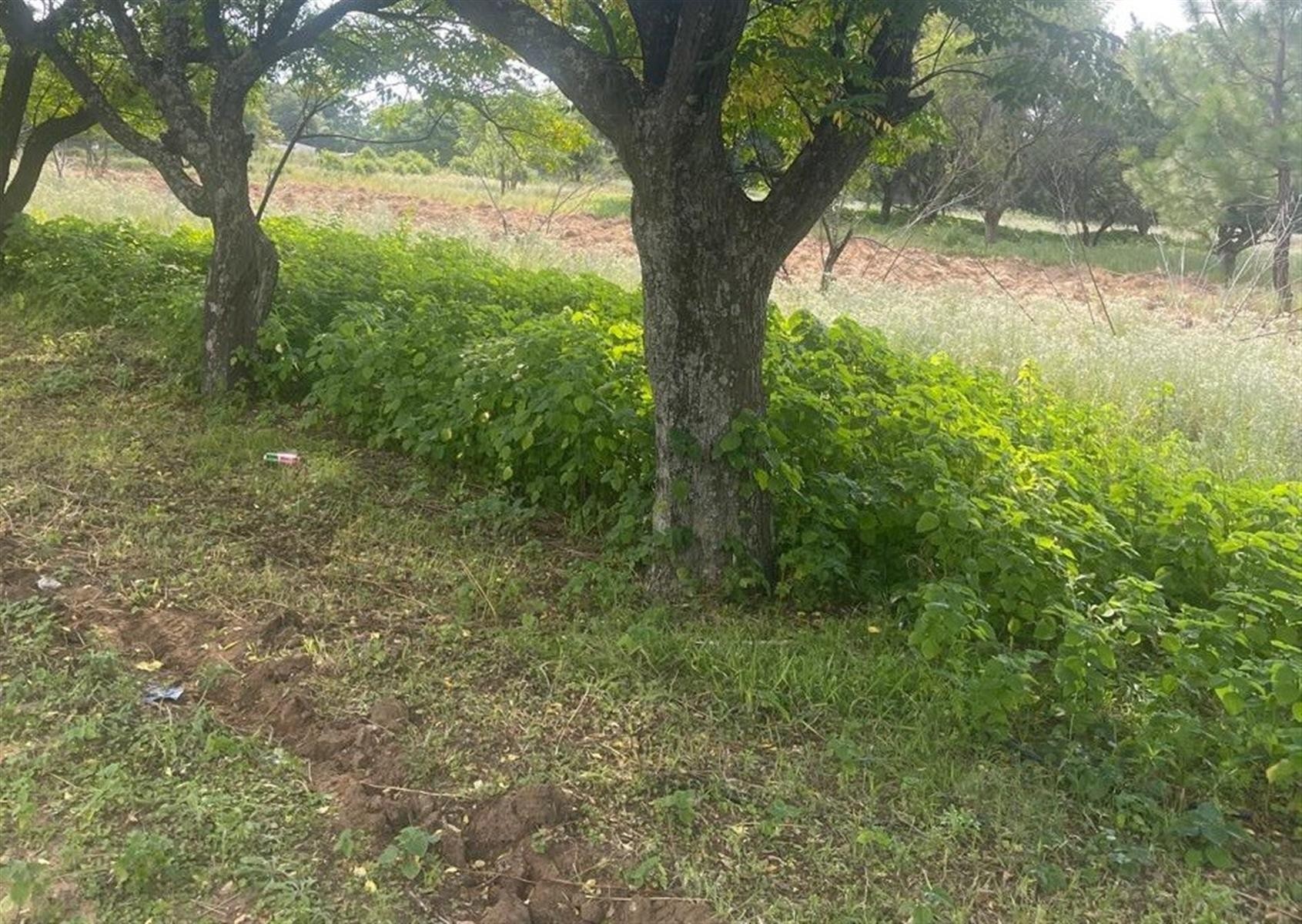 Vacant Land for sale in Glenferness, Midrand, 16000 m²