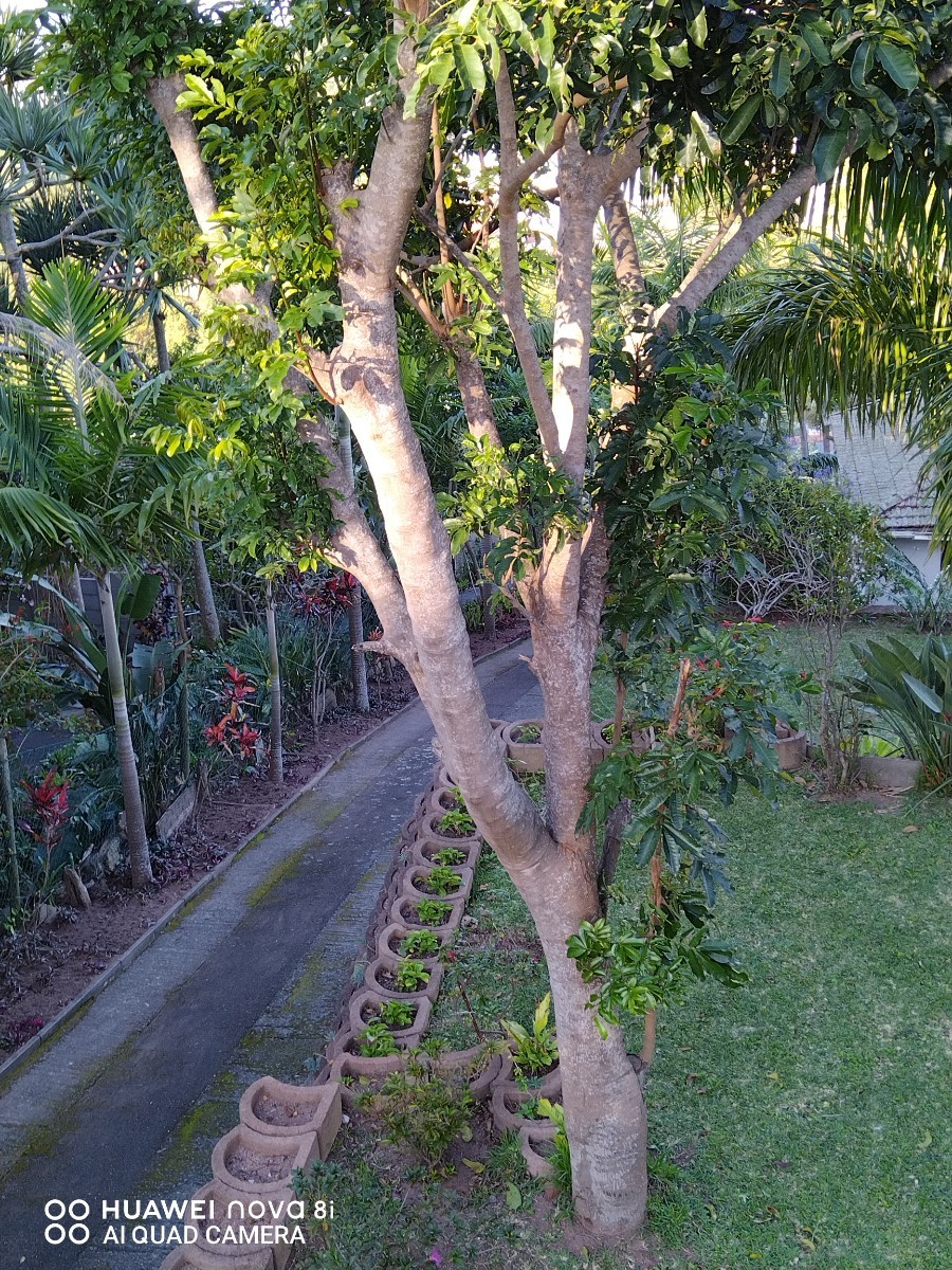 Duplex for sale in Reservoir Hills, Durban, KwaZulu Natal