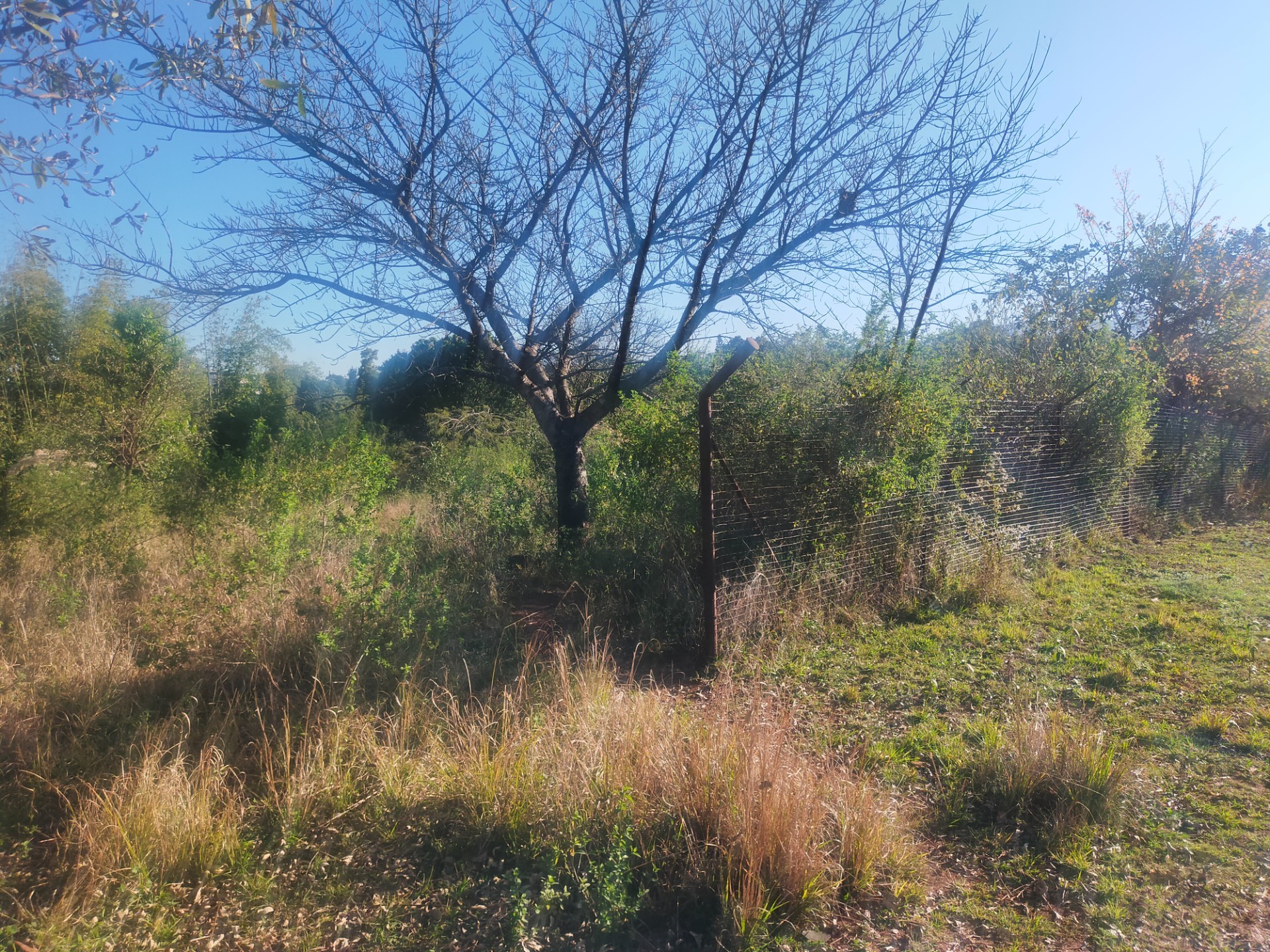 Vacant Land for sale in Maungani, Thohoyandou, 2500 m²