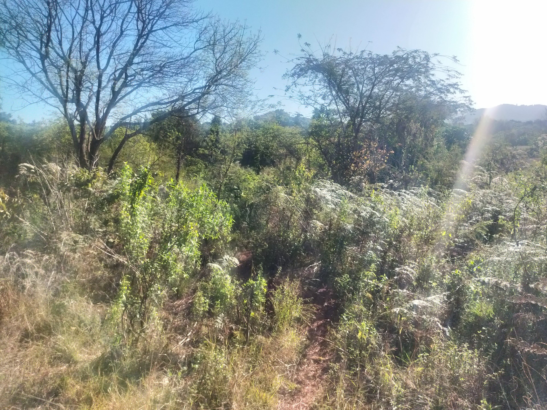 Vacant Land for sale in Maungani, Thohoyandou, 2500 m²