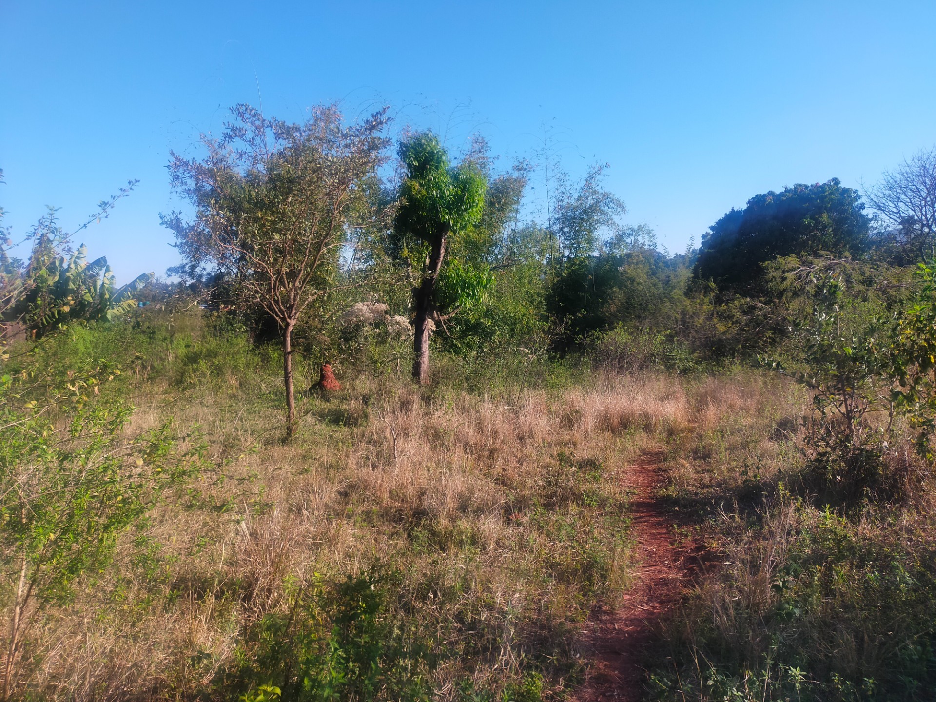 Vacant Land for sale in Maungani, Thohoyandou, 2500 m²