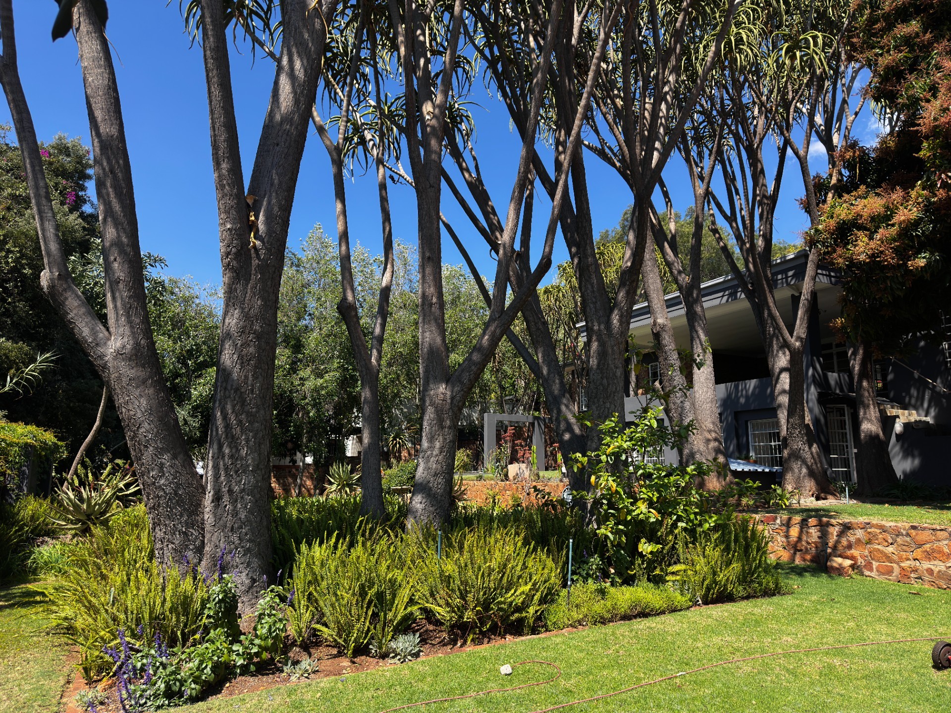 House for sale in Muckleneuk, Pretoria, 1688 m²