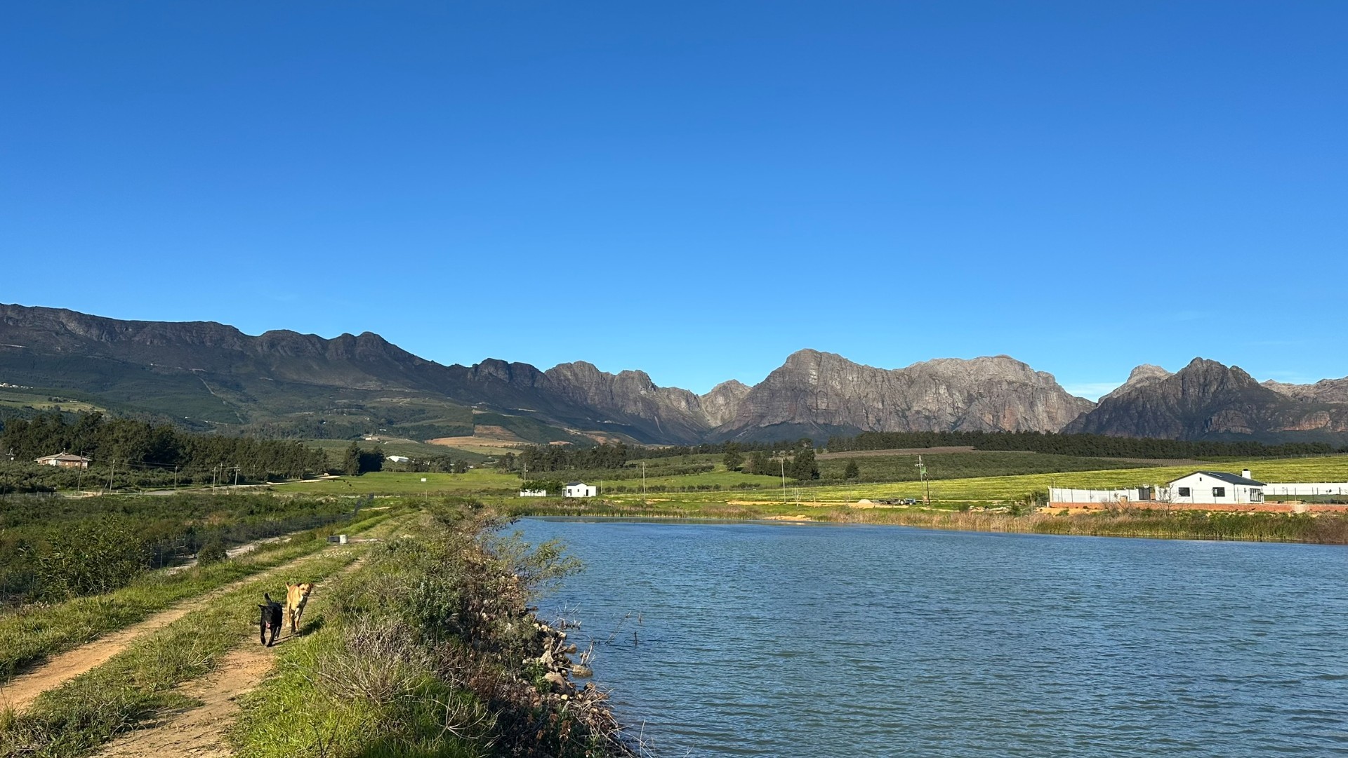 Villa for sale in Paarl Rural, Paarl, 590 m²