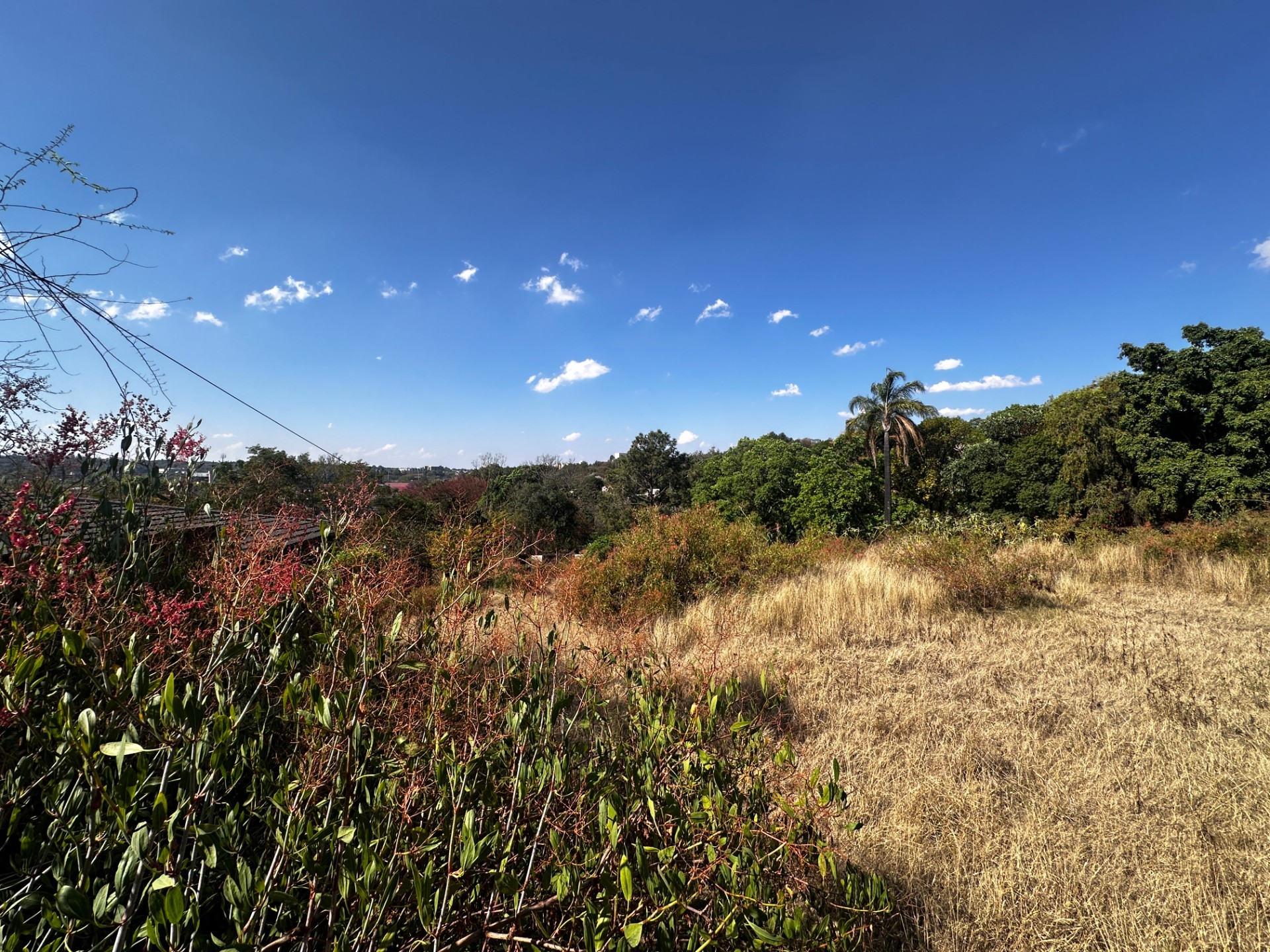 Vacant Land for sale in Muckleneuk, Pretoria, 1353 m²