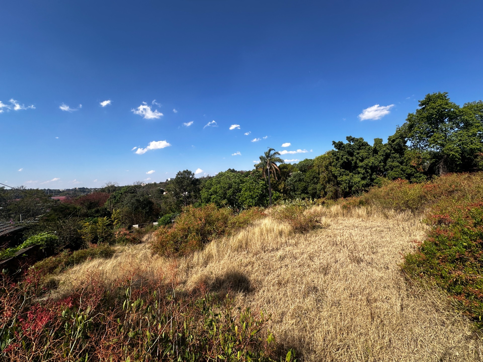Vacant Land for sale in Muckleneuk, Pretoria, 1353 m²