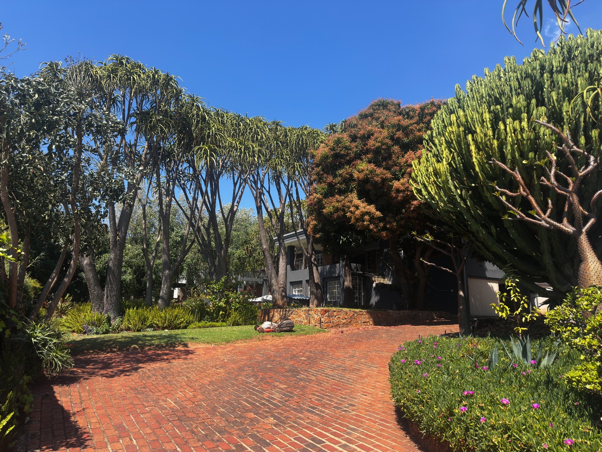 House for rent in Muckleneuk, Pretoria, 1688 m²