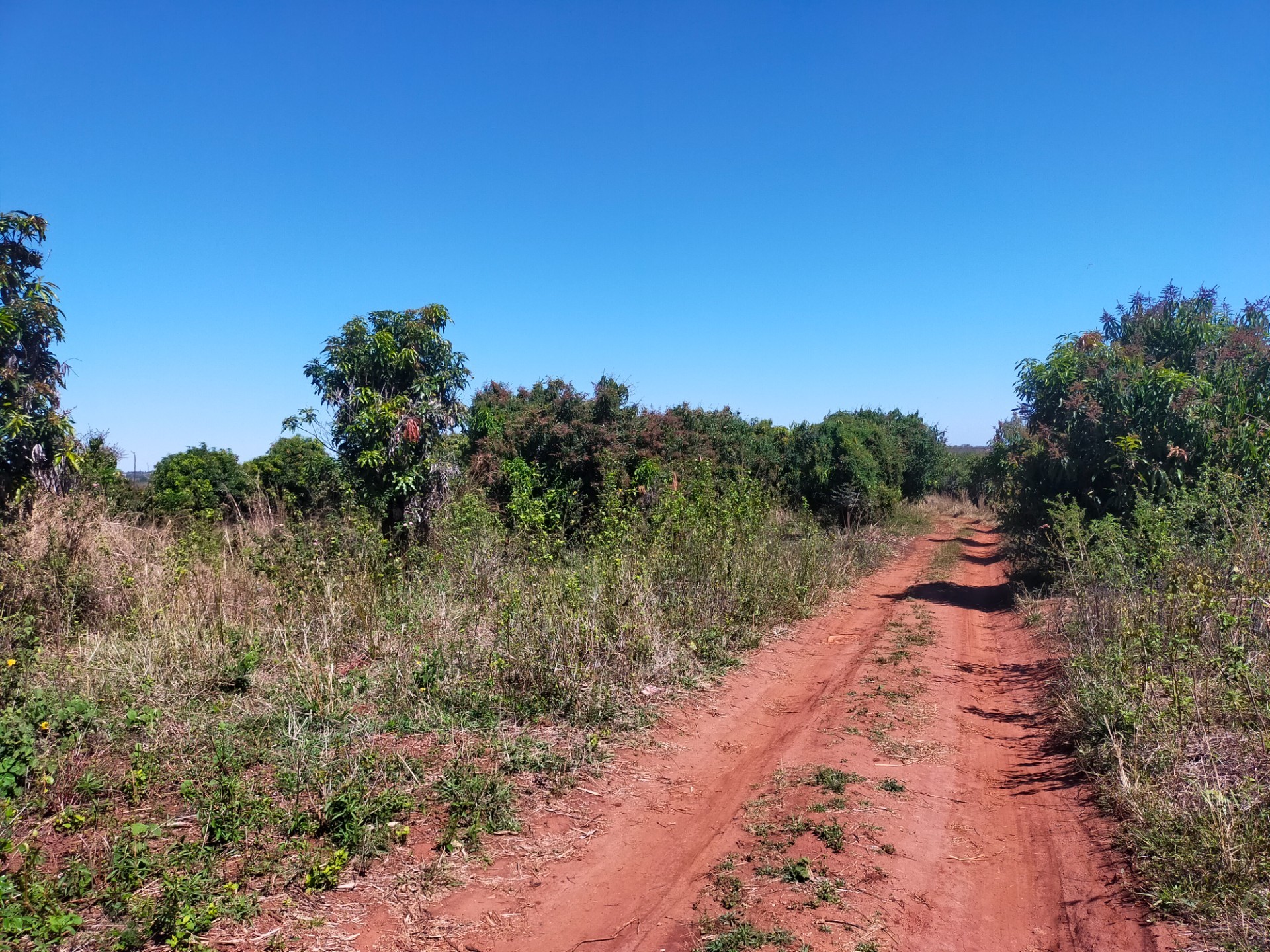 Farm for sale in Itsani, Thohoyandou Rural, Thohoyandou, 40000 m²