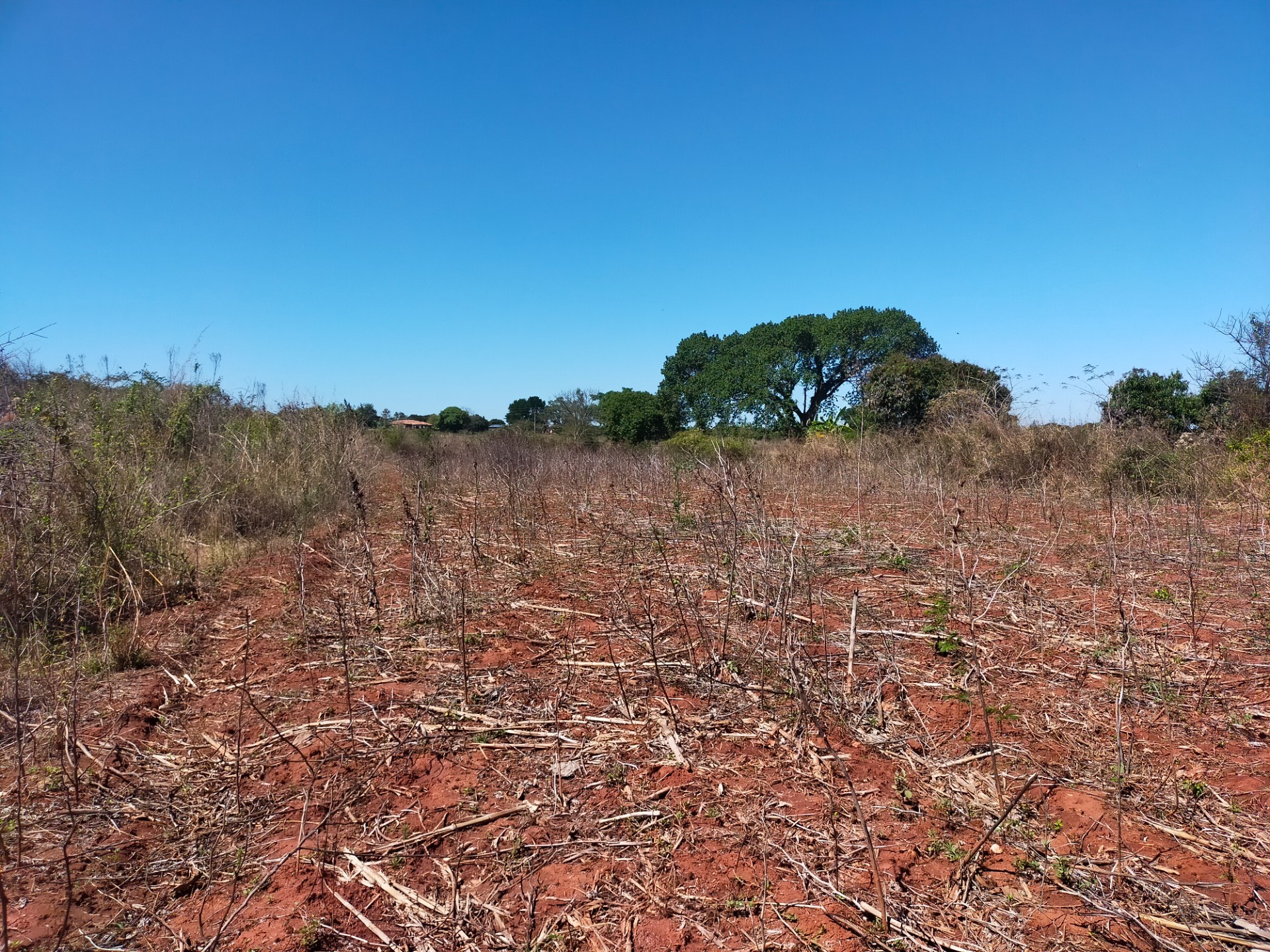 Farm for sale in Itsani, Thohoyandou Rural, Thohoyandou, 40000 m²