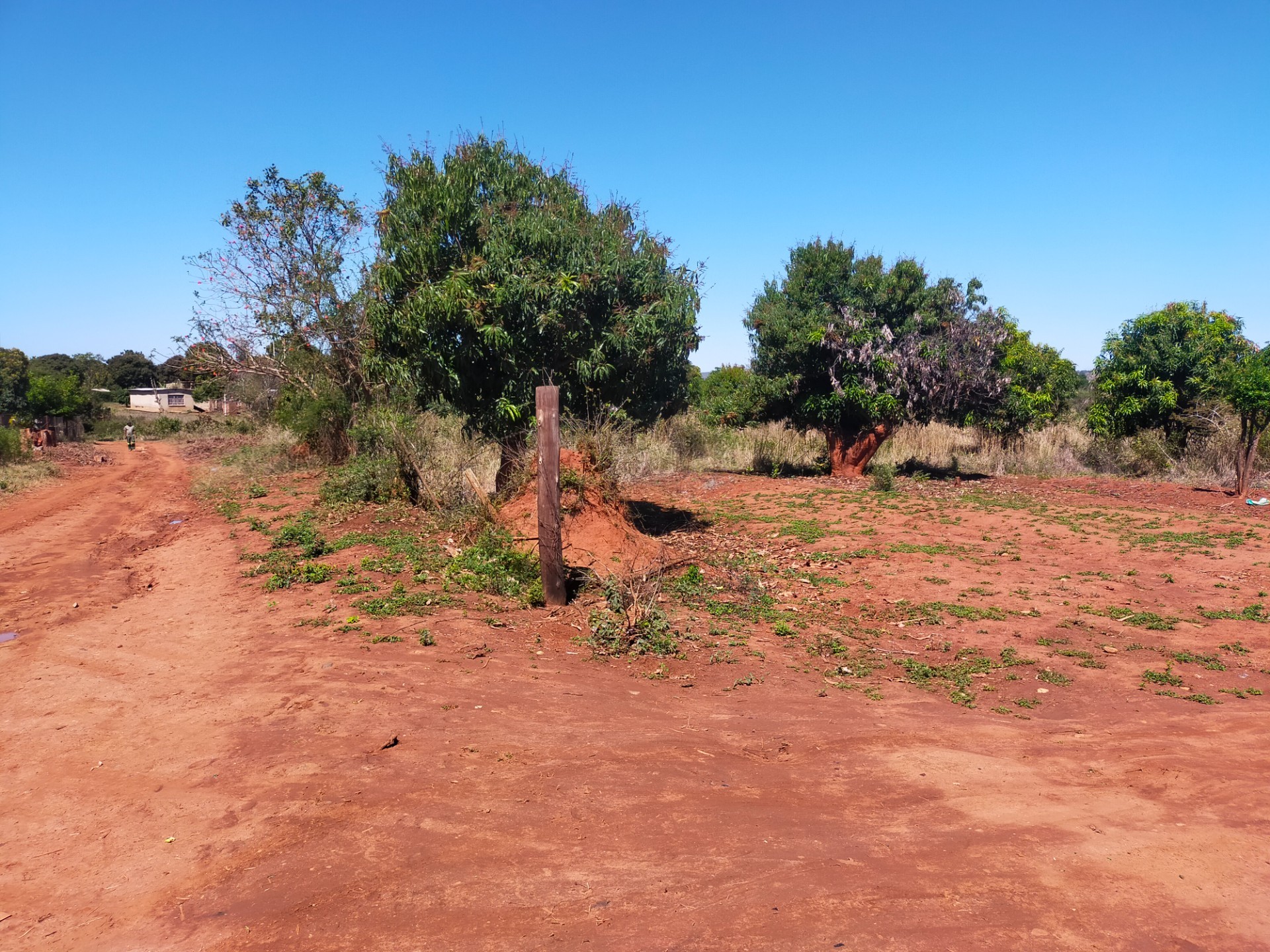 Farm for sale in Itsani, Thohoyandou Rural, Thohoyandou, 40000 m²