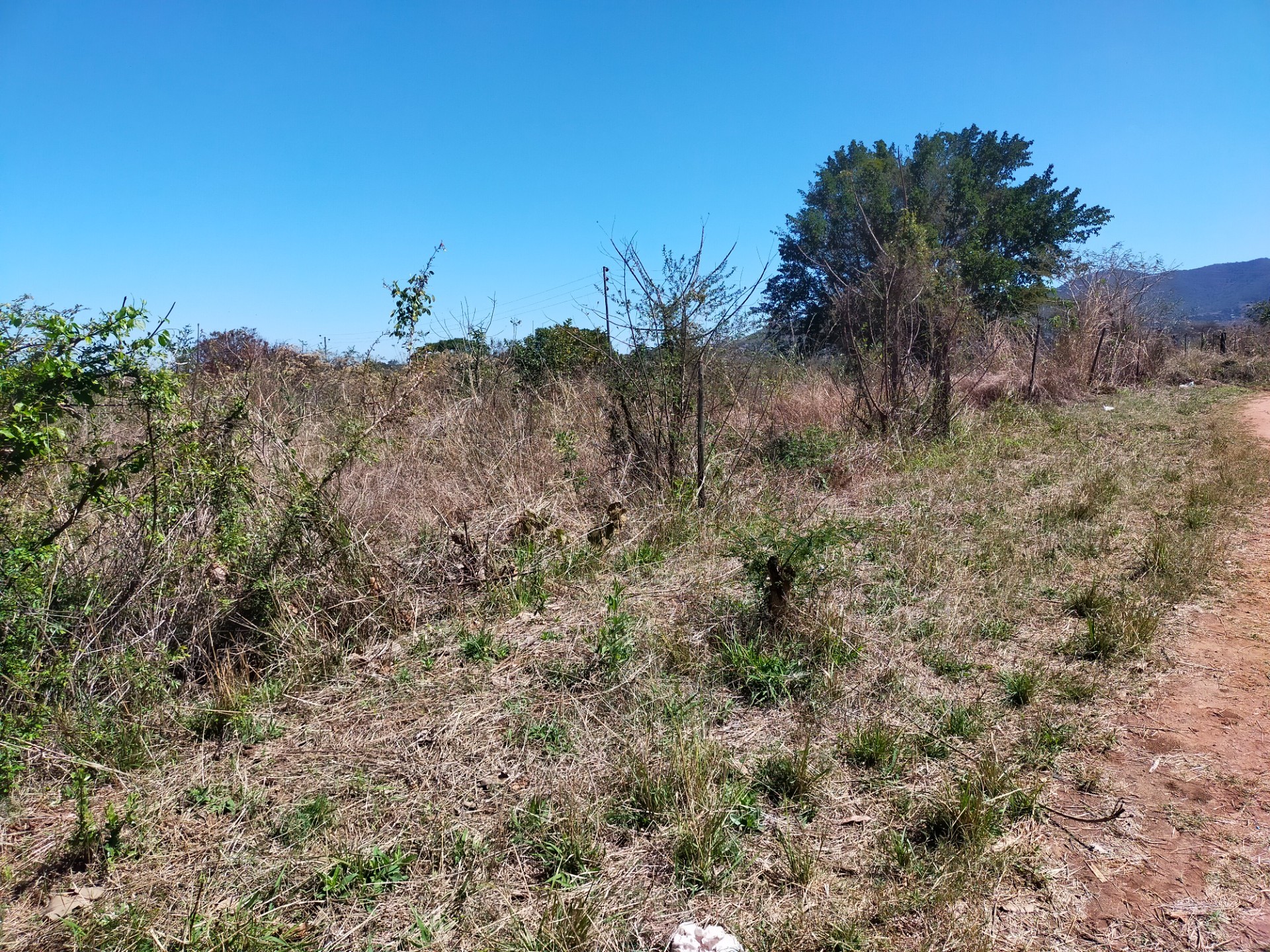 Farm for sale in Itsani, Thohoyandou Rural, Thohoyandou, 40000 m²