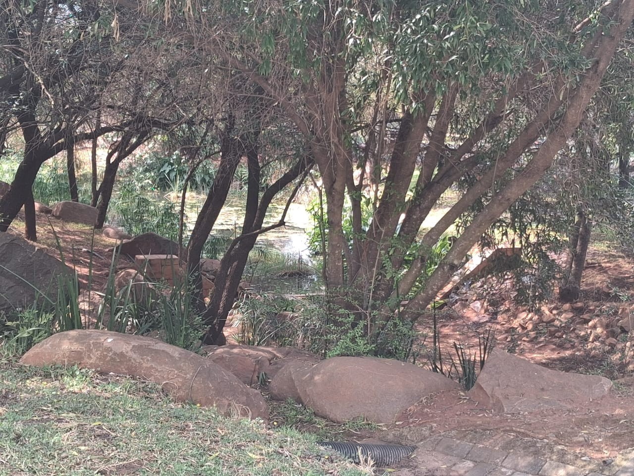Vacant Land for sale in Buffelspoort Eco Estate, Rustenburg, North West, 1036 m²