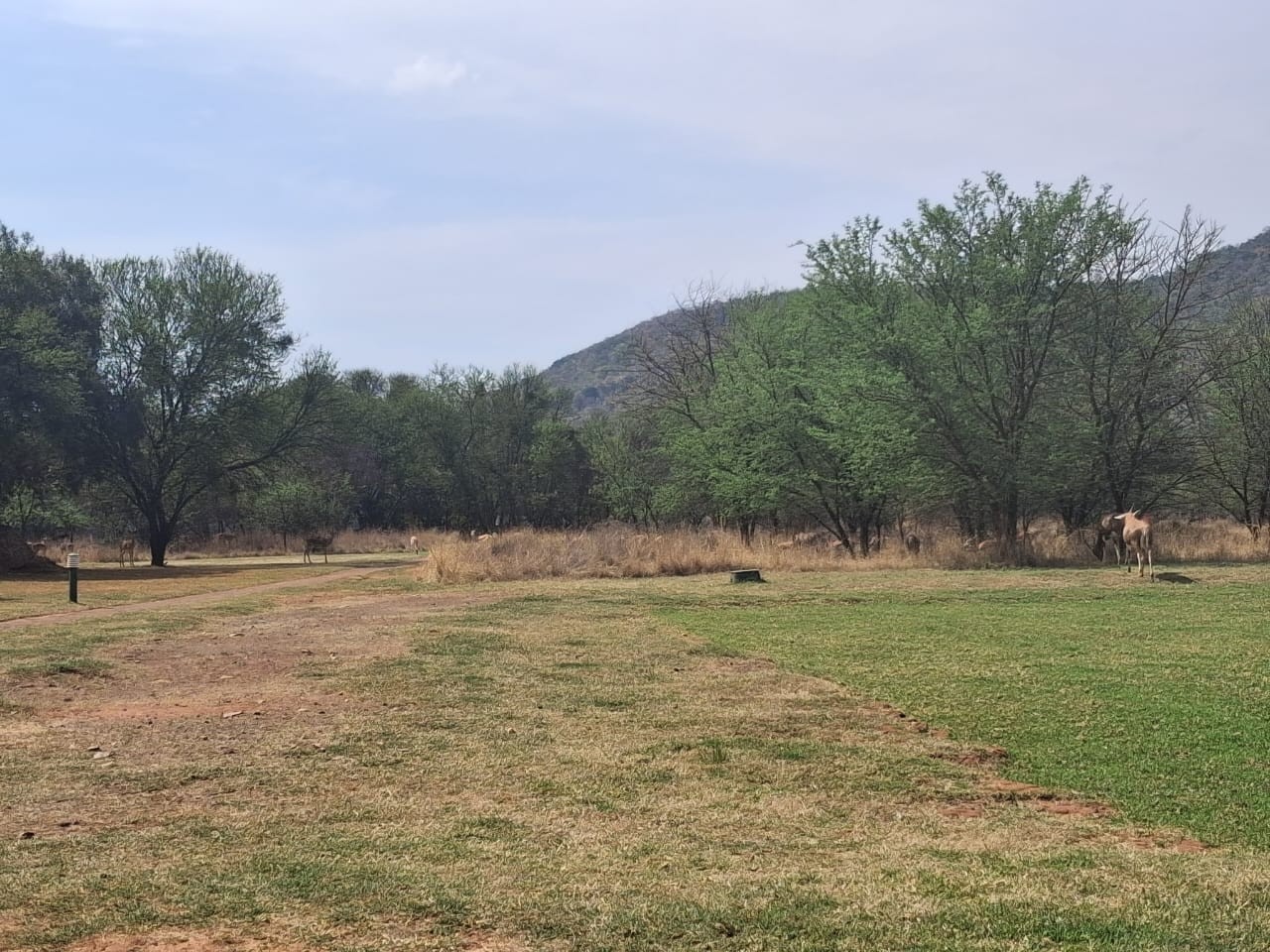 Vacant Land for sale in Buffelspoort Eco Estate, Rustenburg, North West, 1036 m²