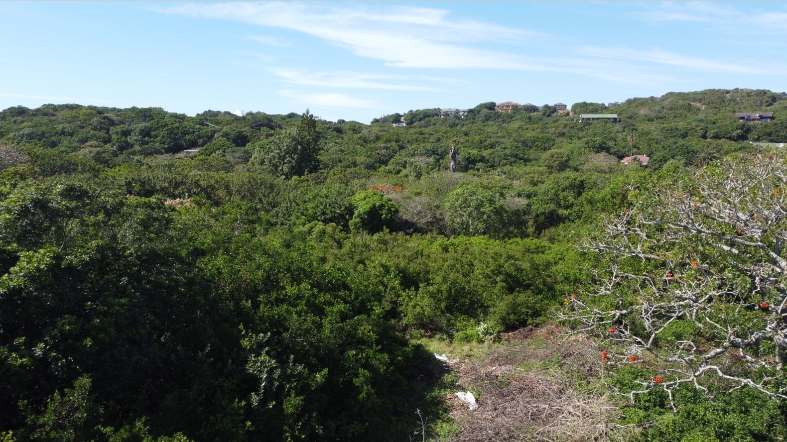 Vacant Land for sale in Port Alfred Central, Port Alfred, 34 Stewart Road, Port Alfred Central, Port Alfred, Eastern Cape, 6097 m²