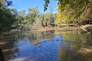 Small Holding for sale in Boschfontein AH, Rustenburg, North West, 60000 m²
