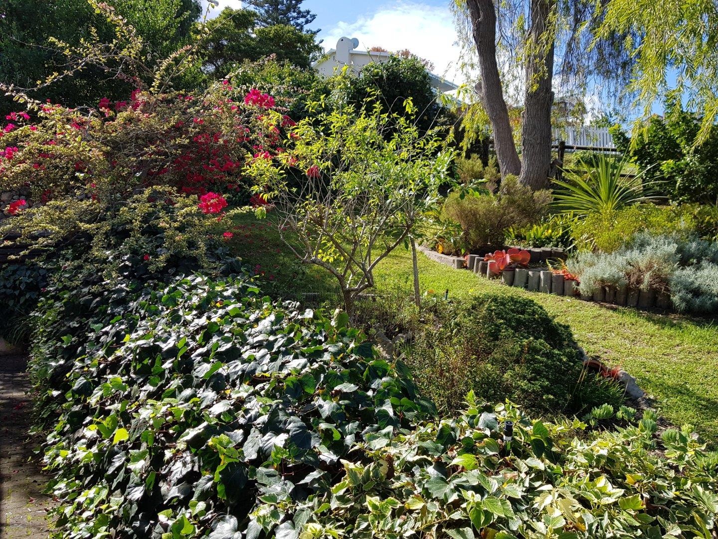House for rent in Westhill, Knysna, 813 m²
