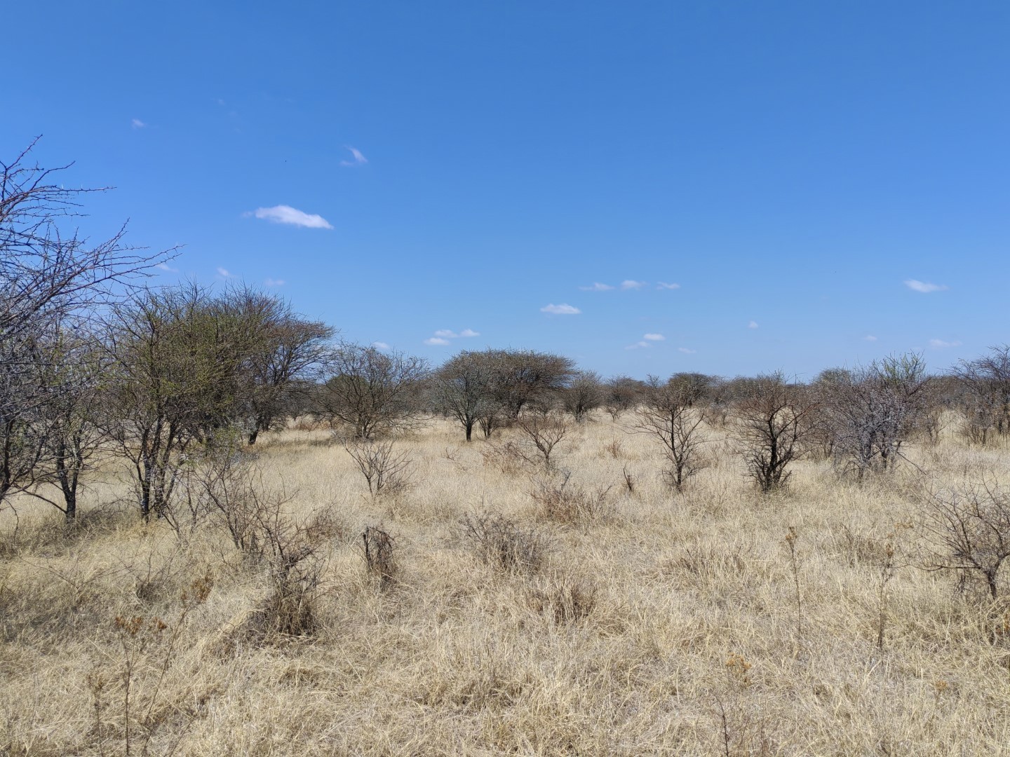 Vacant Land for sale in Radium, Bela Bela, 427000 m²