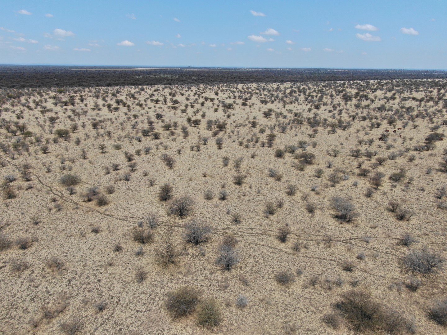 Vacant Land for sale in Radium, Bela Bela, 427000 m²