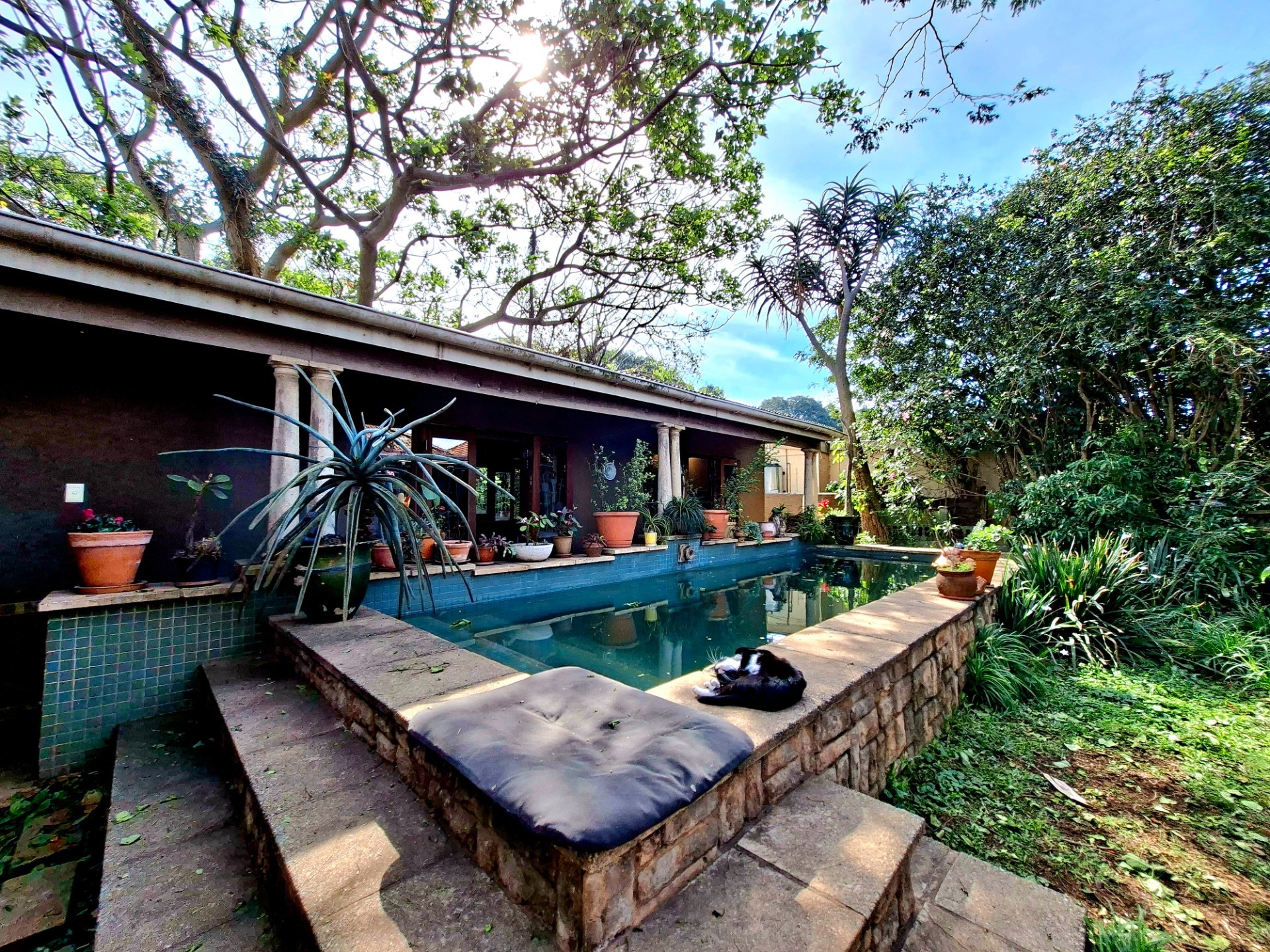 Cottage for rent in Umbilo, Durban, KwaZulu Natal