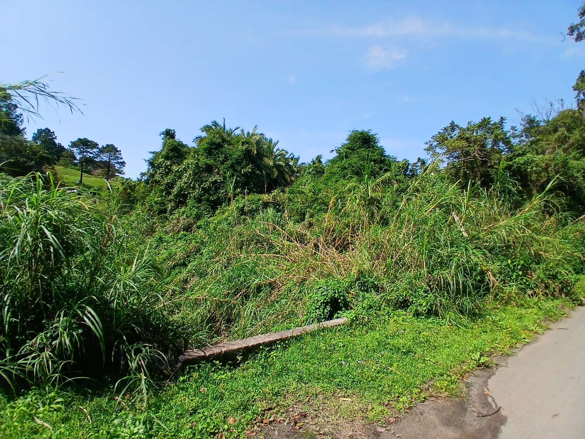 Vacant Land for sale in Ramsgate, Margate, KwaZulu Natal, 1856 m²