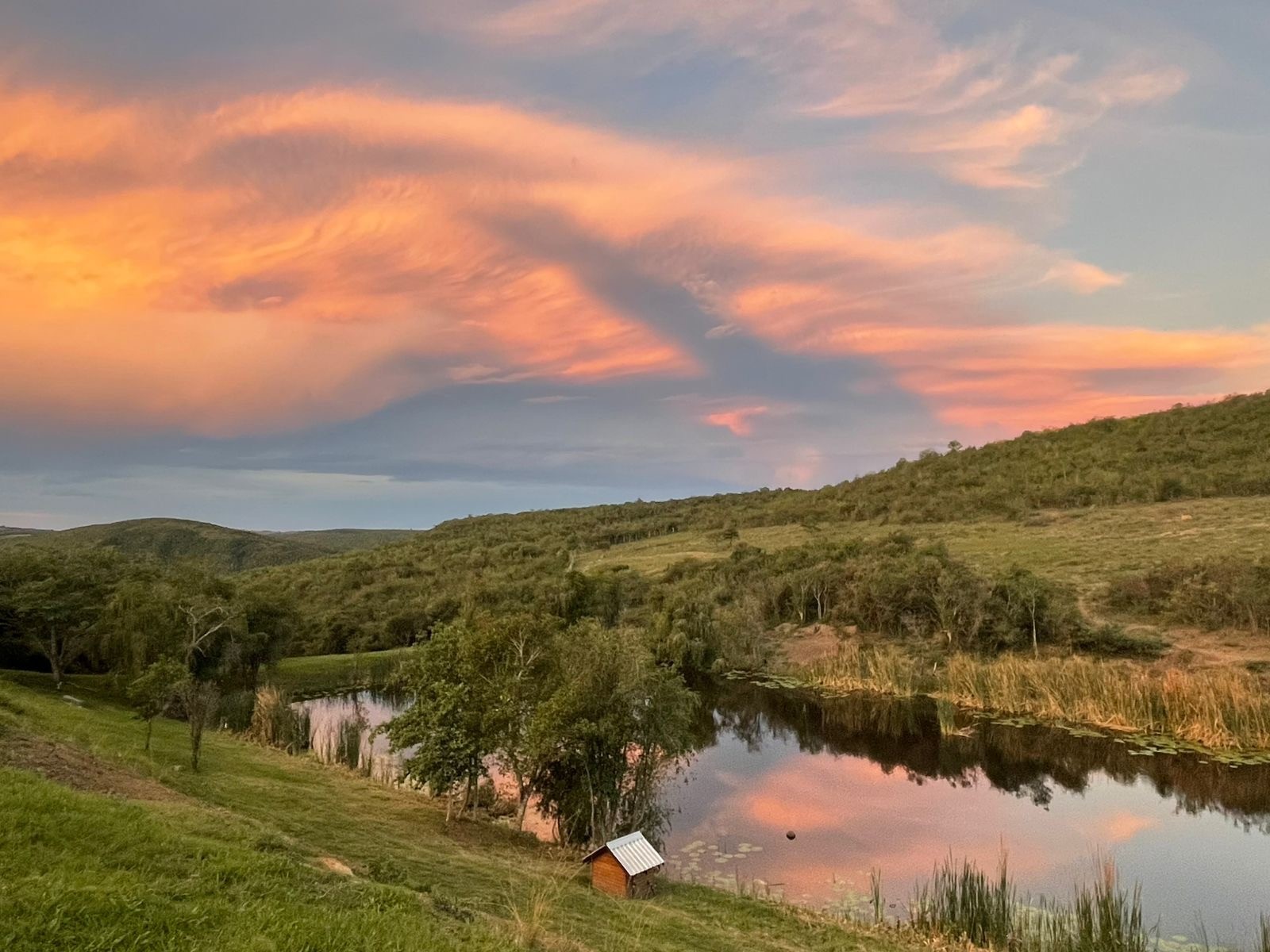 Farm for sale in East London Rural, East London, 320000 m²
