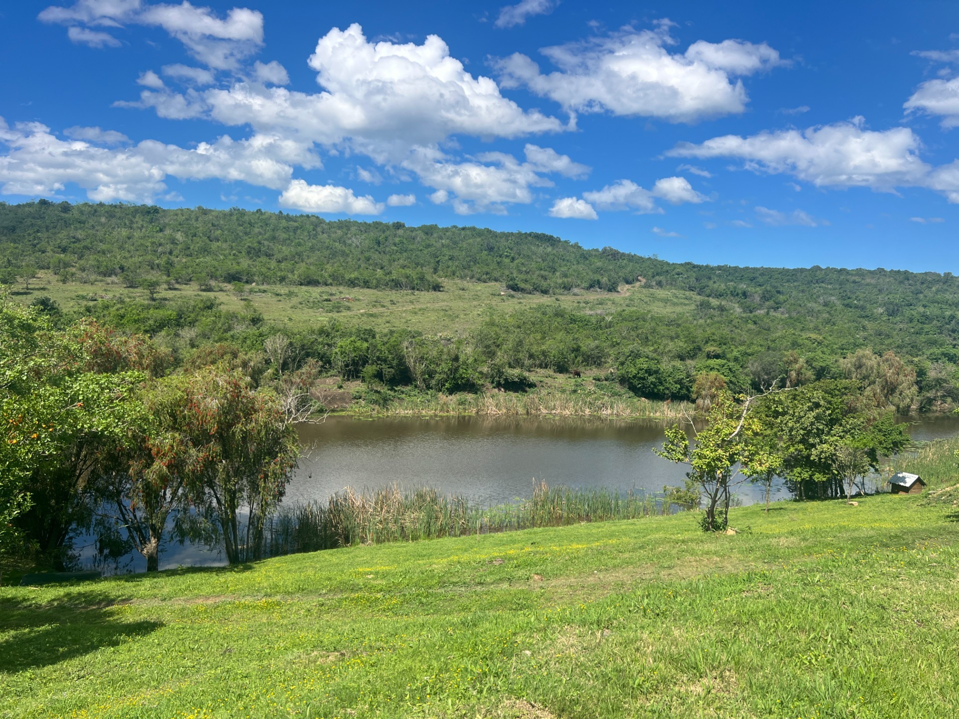 Farm for sale in East London Rural, East London, 320000 m²
