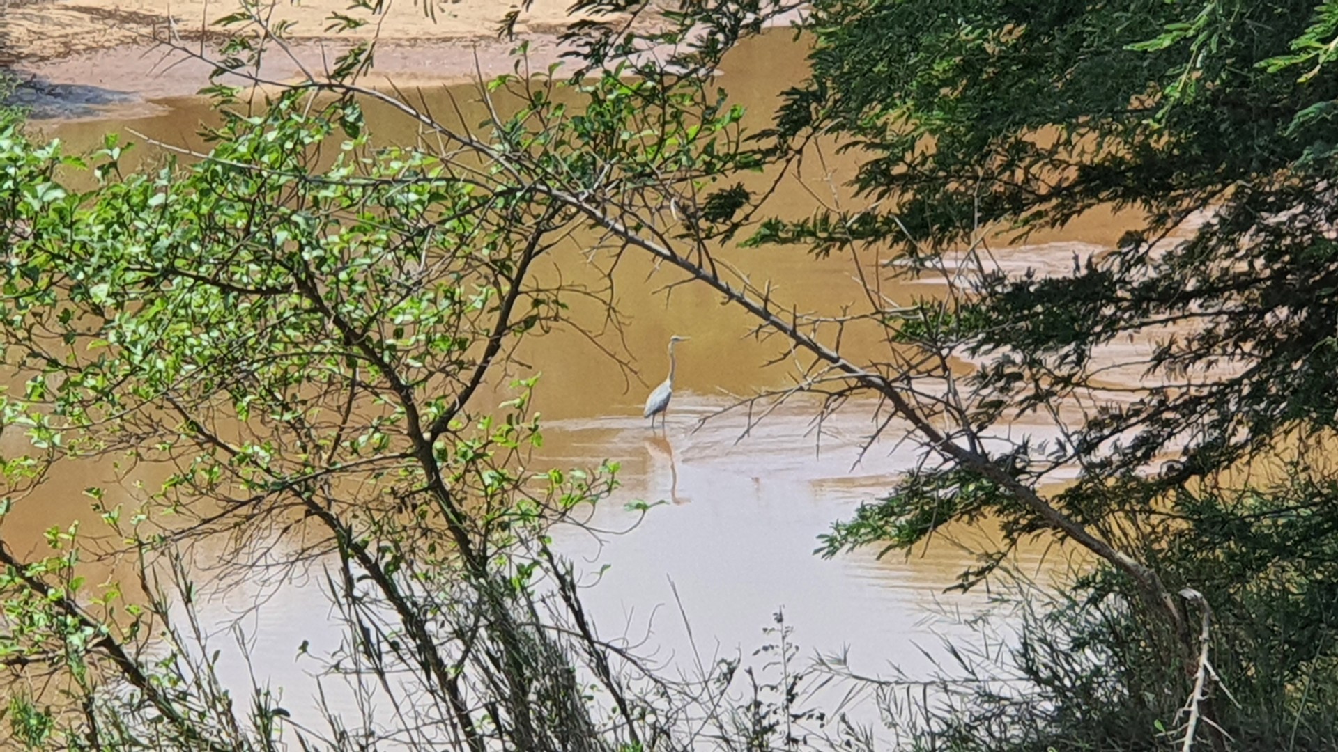 Vacant Land for sale in Elephant Rock Eco Estate, Hoedspruit, 2629 m²