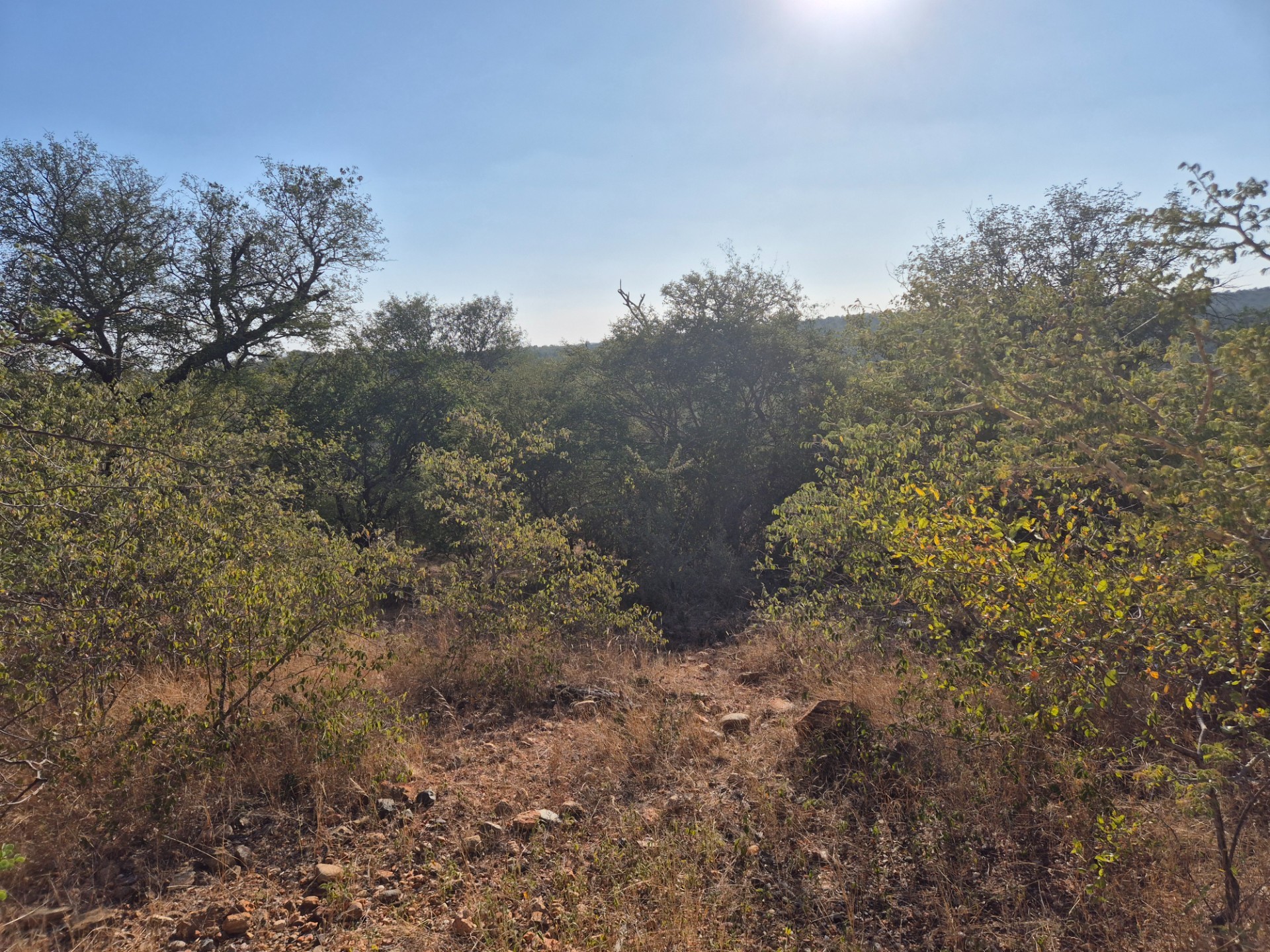 Vacant Land for sale in Elephant Rock Eco Estate, Hoedspruit, 2629 m²