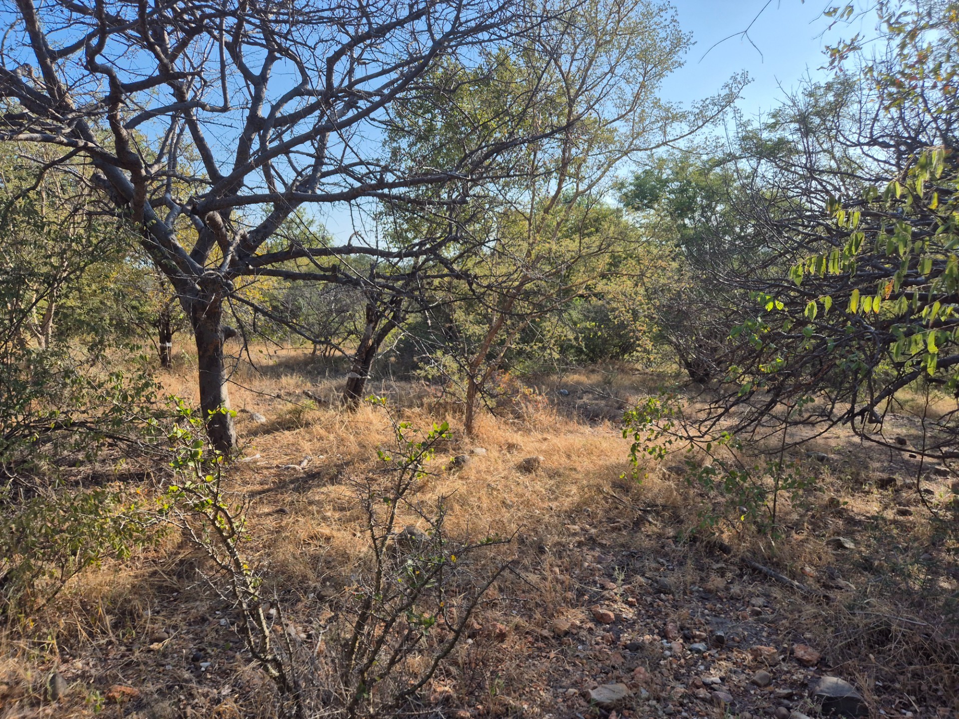 Vacant Land for sale in Elephant Rock Eco Estate, Hoedspruit, 2629 m²