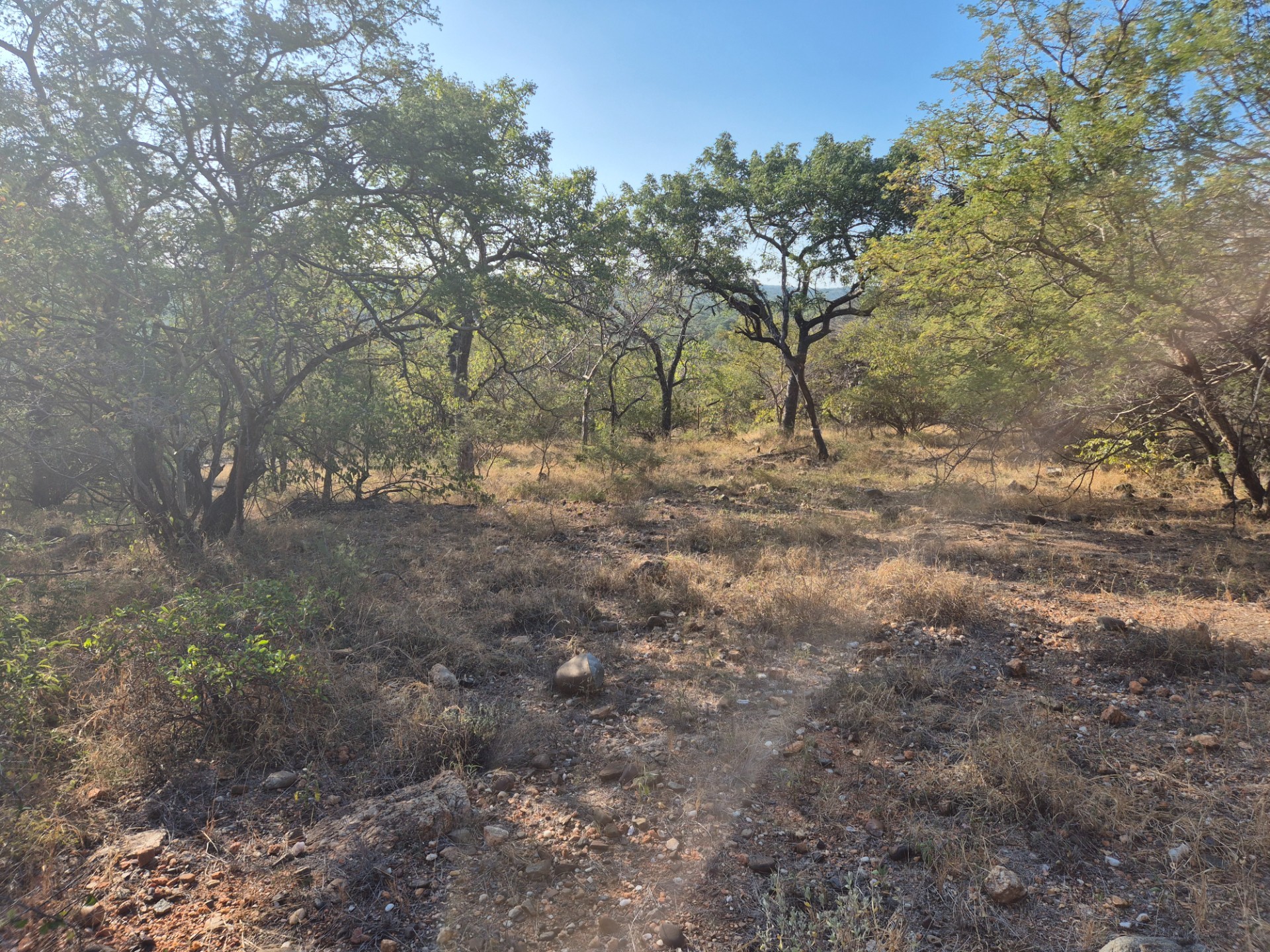 Vacant Land for sale in Elephant Rock Eco Estate, Hoedspruit, 2629 m²