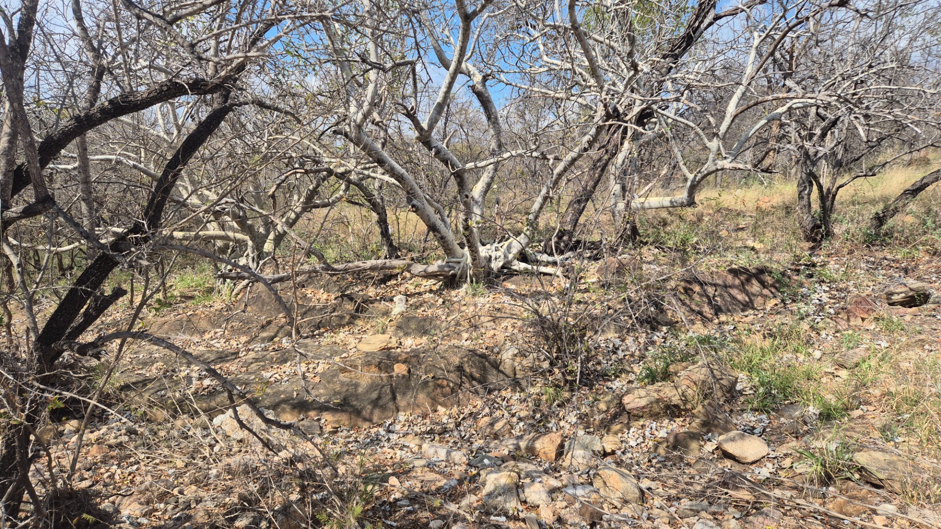 Vacant Land for sale in Mica, Hoedspruit, 454100 m²