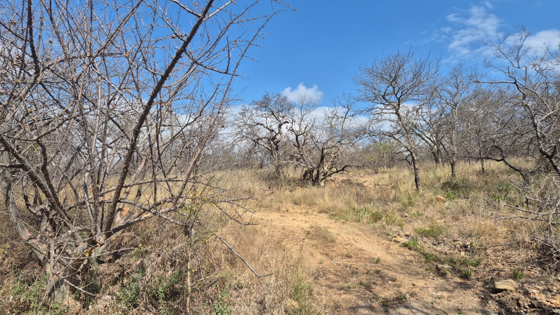 Vacant Land for sale in Mica, Hoedspruit, 454100 m²