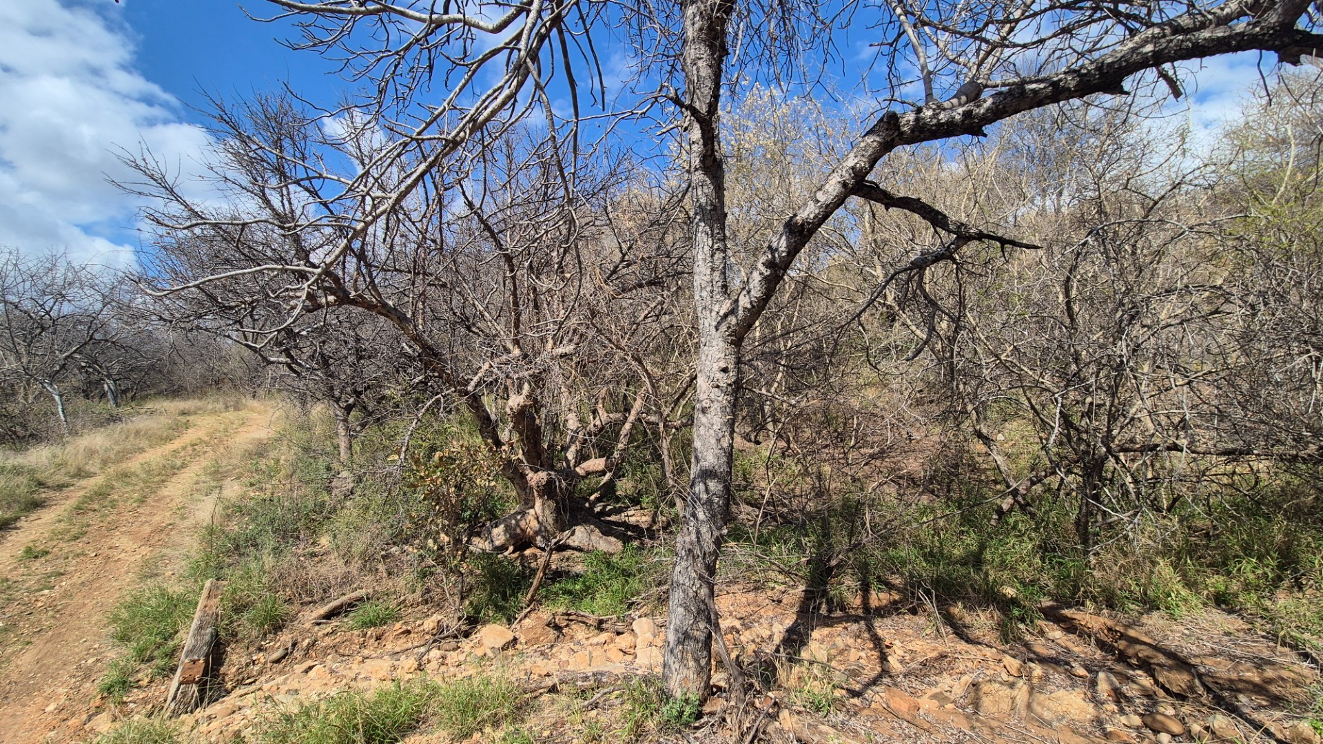 Vacant Land for sale in Mica, Hoedspruit, 454100 m²