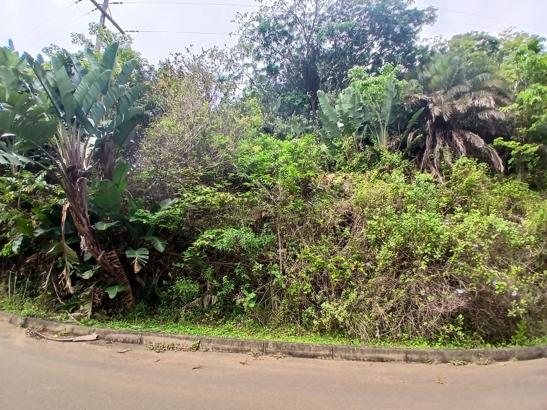 Vacant Land for sale in Ramsgate, Margate, KwaZulu Natal, 1356 m²
