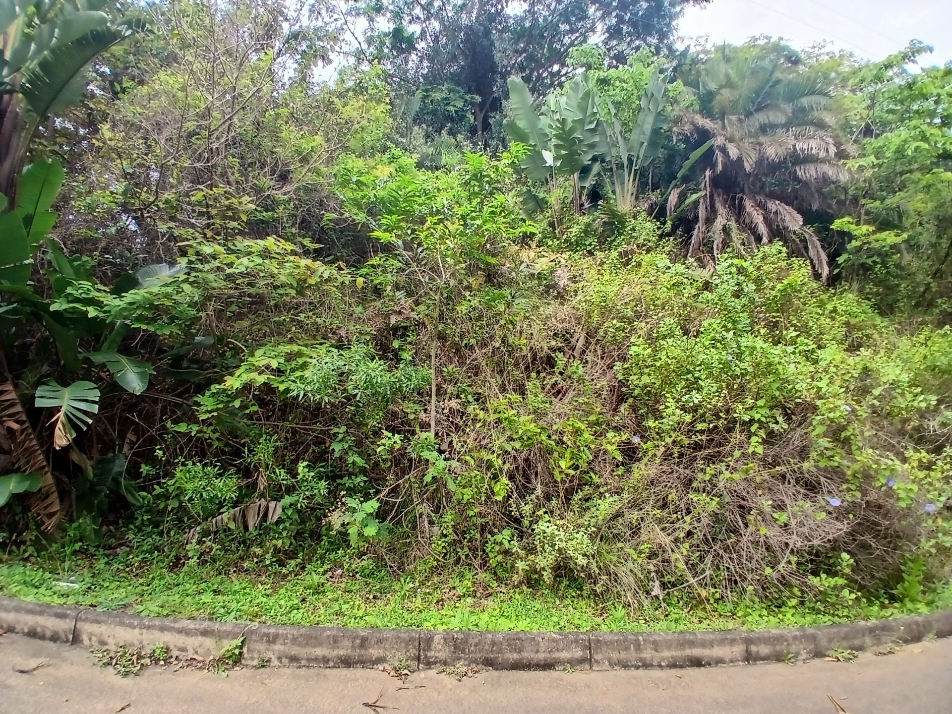 Vacant Land for sale in Ramsgate, Margate, KwaZulu Natal, 1356 m²