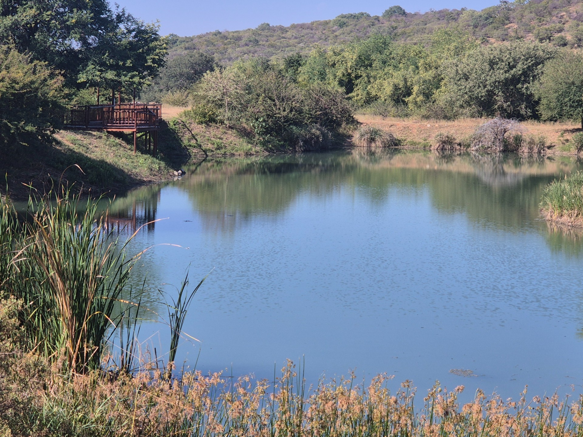 Vacant Land for sale in Elephant Rock Eco Estate, Hoedspruit, 2400 m²