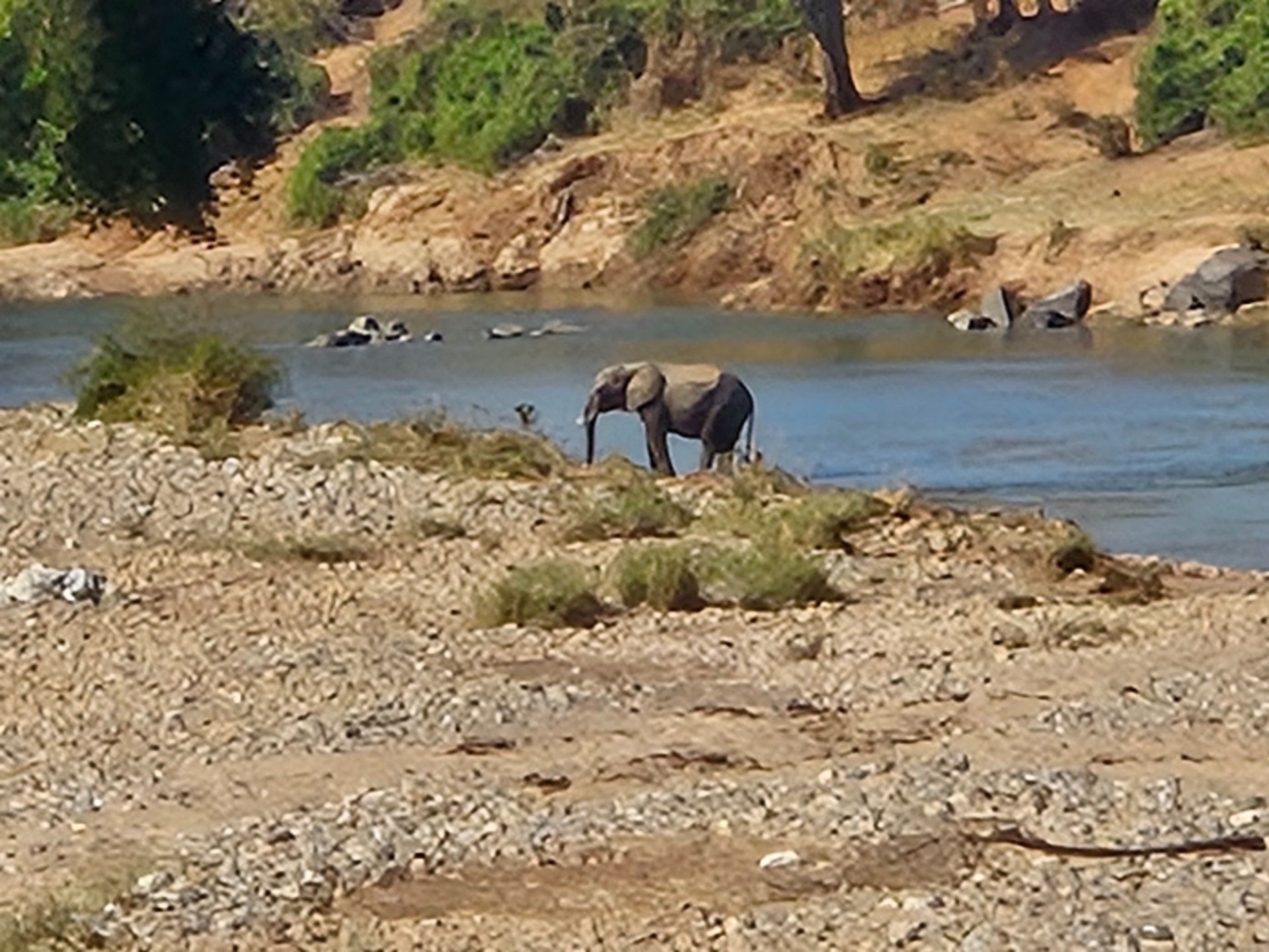 Vacant Land for sale in Elephant Rock Eco Estate, Hoedspruit, 2400 m²