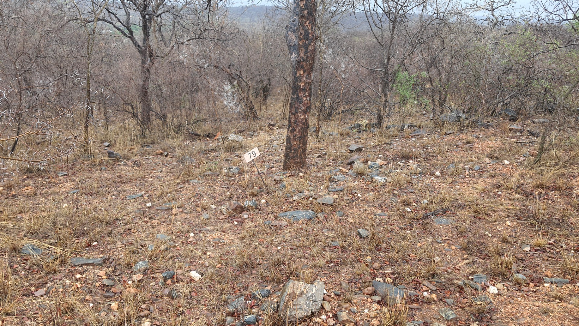 Vacant Land for sale in Elephant Rock Eco Estate, Hoedspruit, 2400 m²