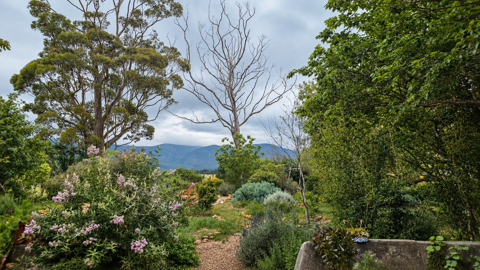 Small Holding for sale in Swellendam, 6424 m²