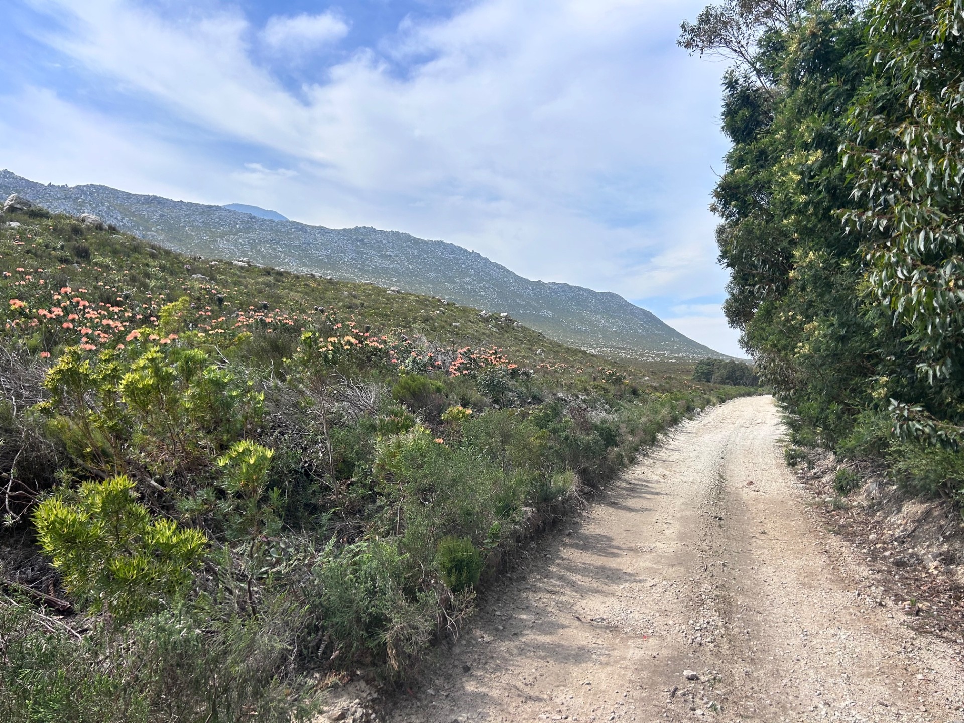 Small Holding for sale in Pringle Bay, 67 Hangklip farm, Pringle Bay, Western Cape, 86000 m²