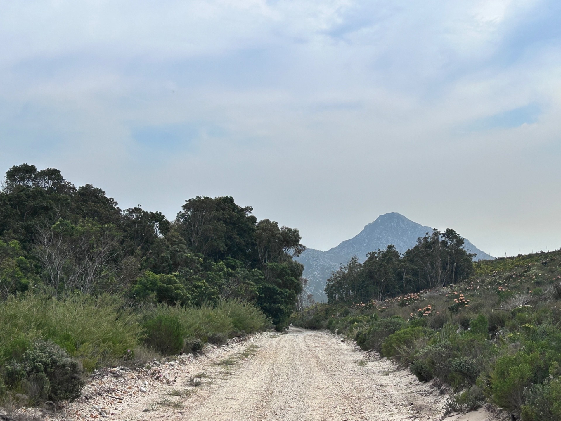 Small Holding for sale in Pringle Bay, 67 Hangklip farm, Pringle Bay, Western Cape, 86000 m²