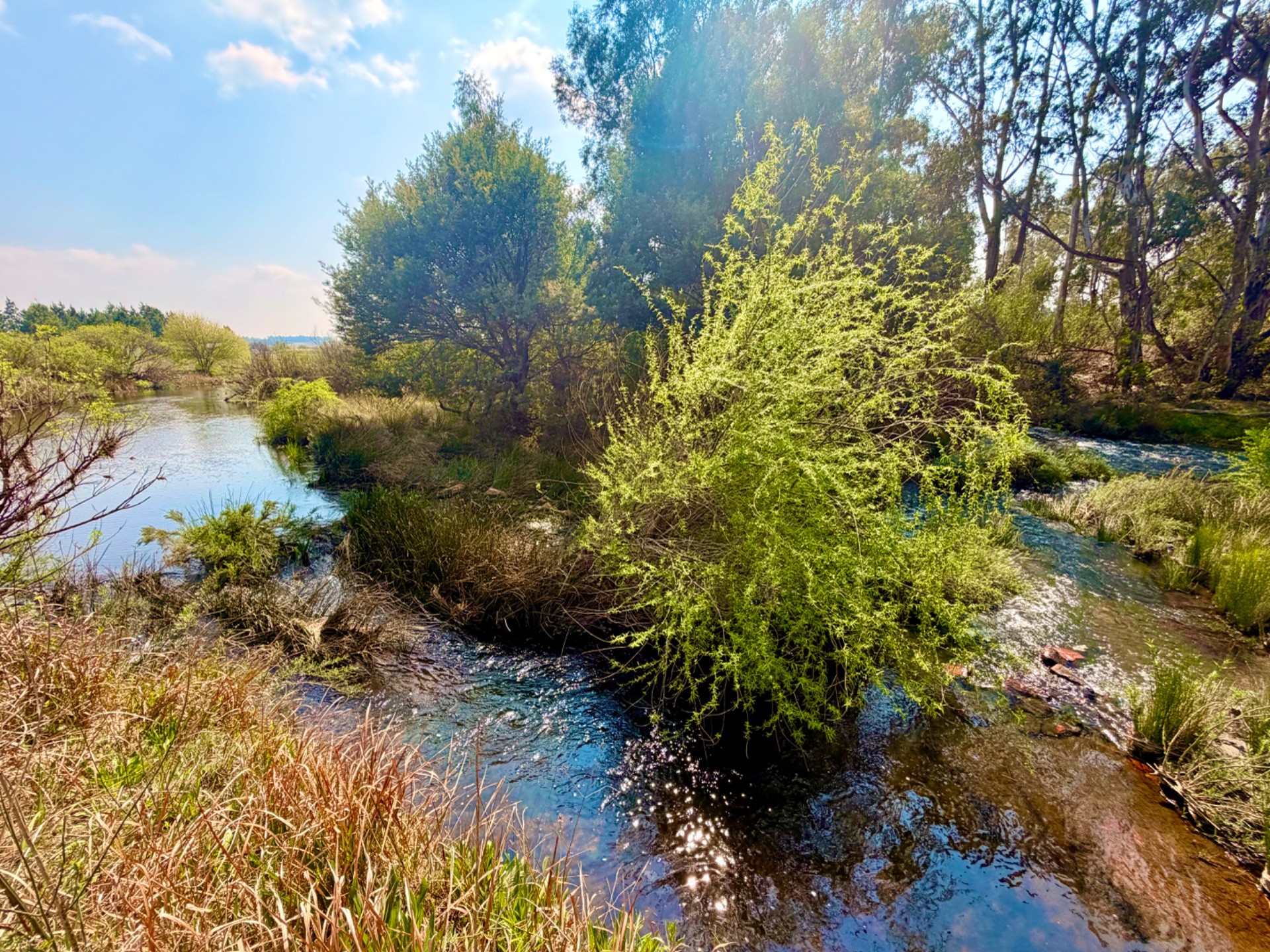 Small Holding for sale in Middelburg Rural, Middelburg, 91000 m²