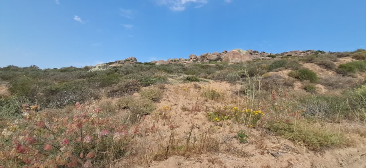 Vacant Land for sale in St Helena Views, St Helena Bay, 660 m²