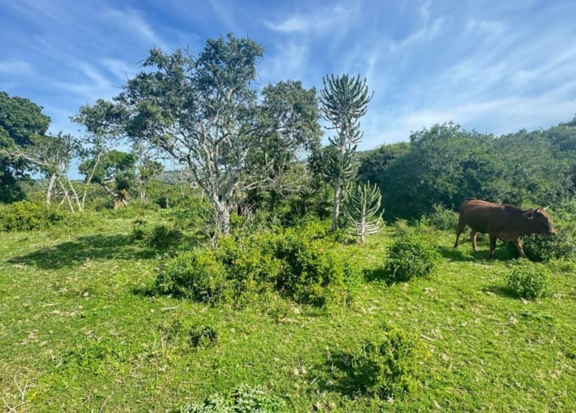 Vacant Land for sale in Port Alfred Rural, Port Alfred, 1427 m²